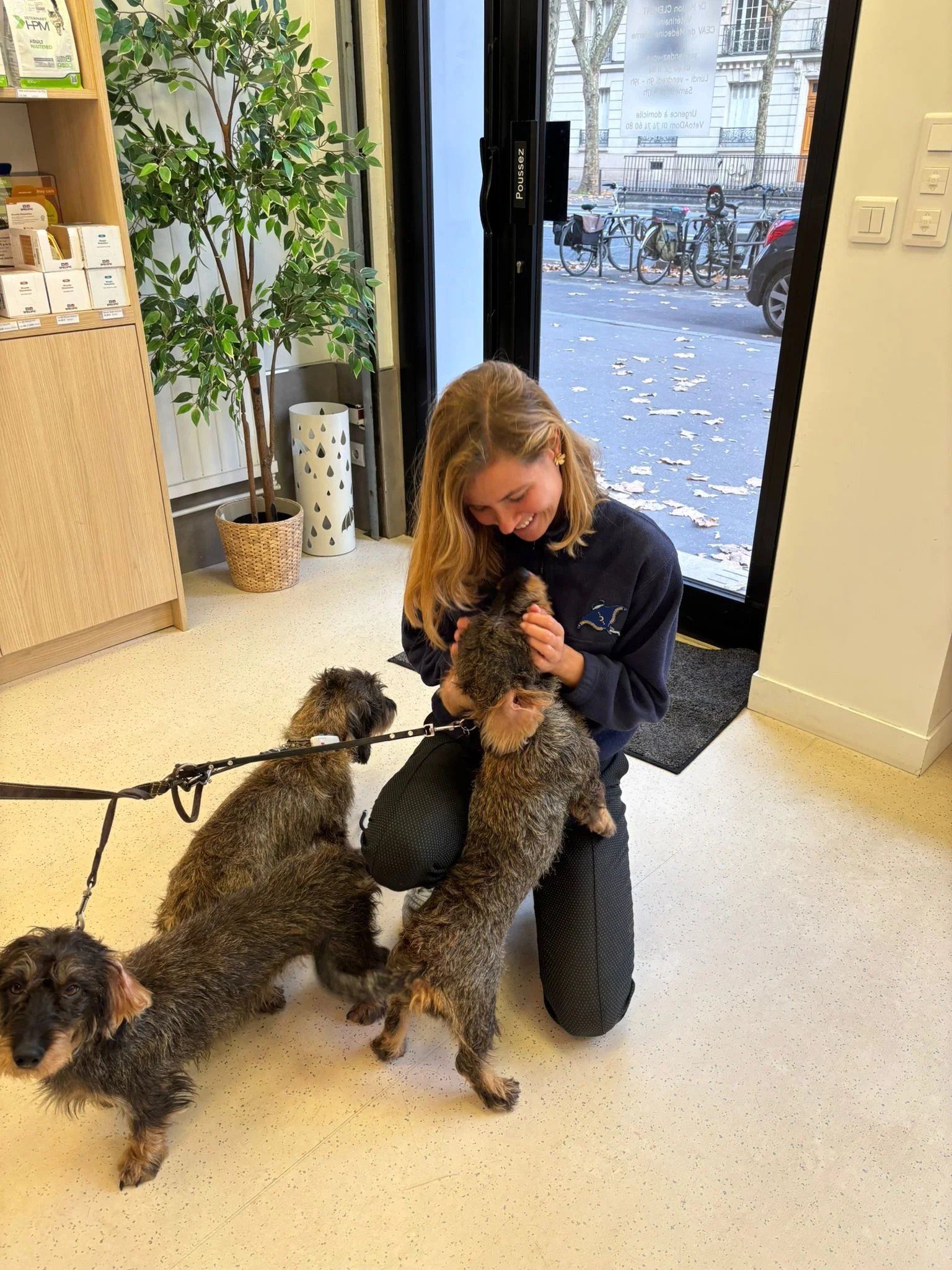 veterinaire-vetalesia-chien