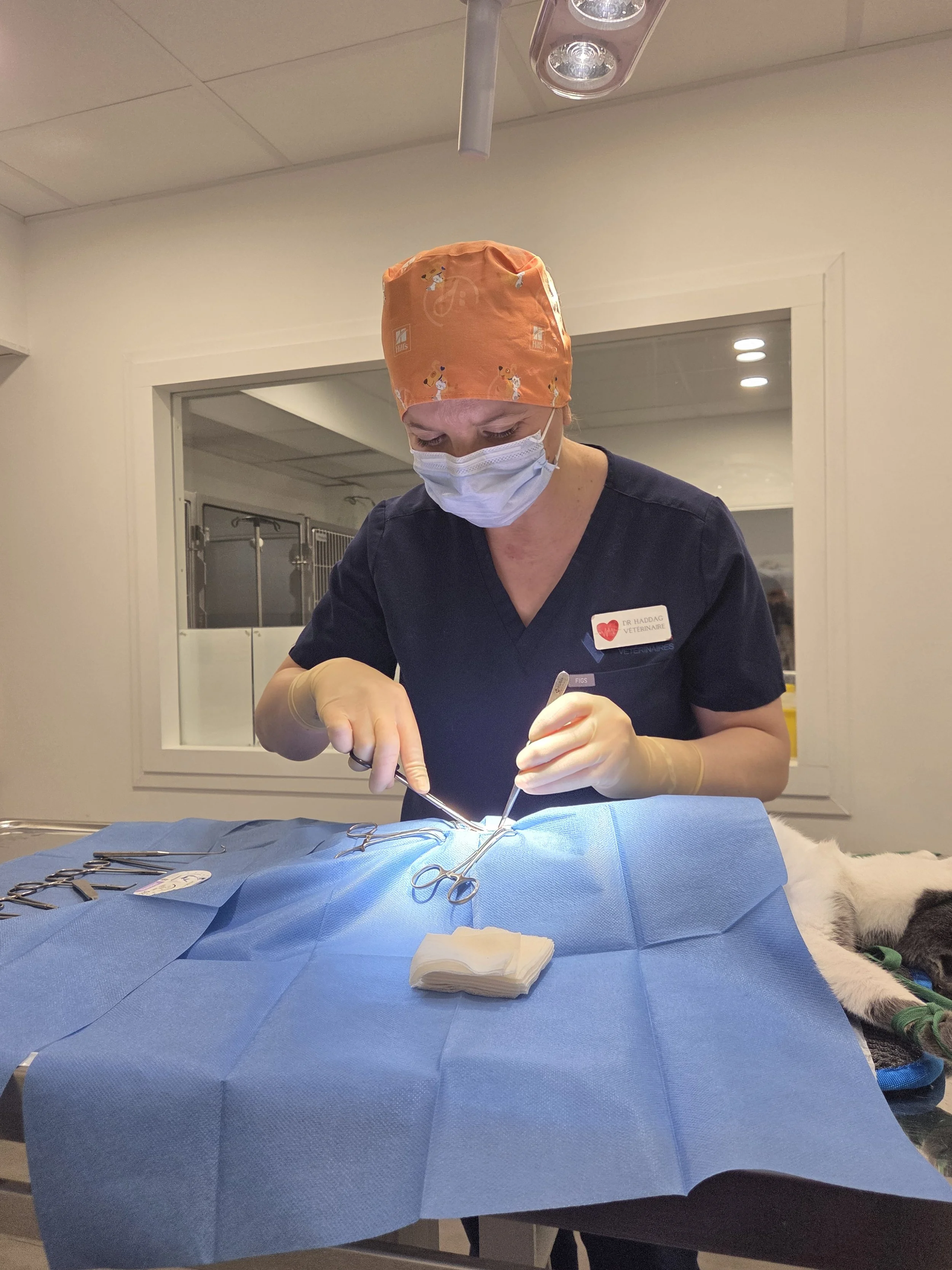 veterinaire-vetalesia-chat