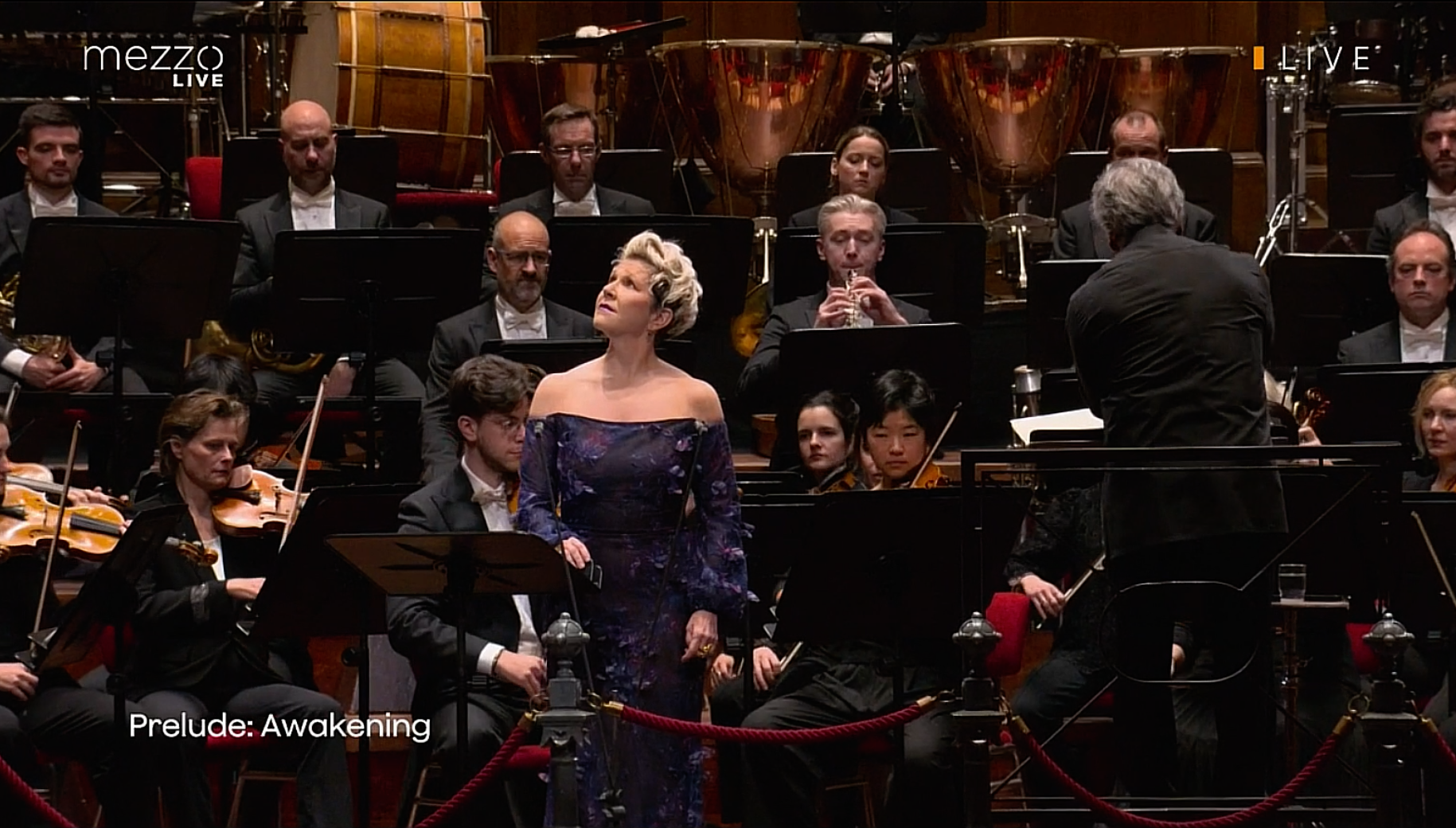 Royal Concertgebouw Orchestra. Antonio Pappano (conductor), Joyce DiDonato (mezzo-soprano) - Amsterdam