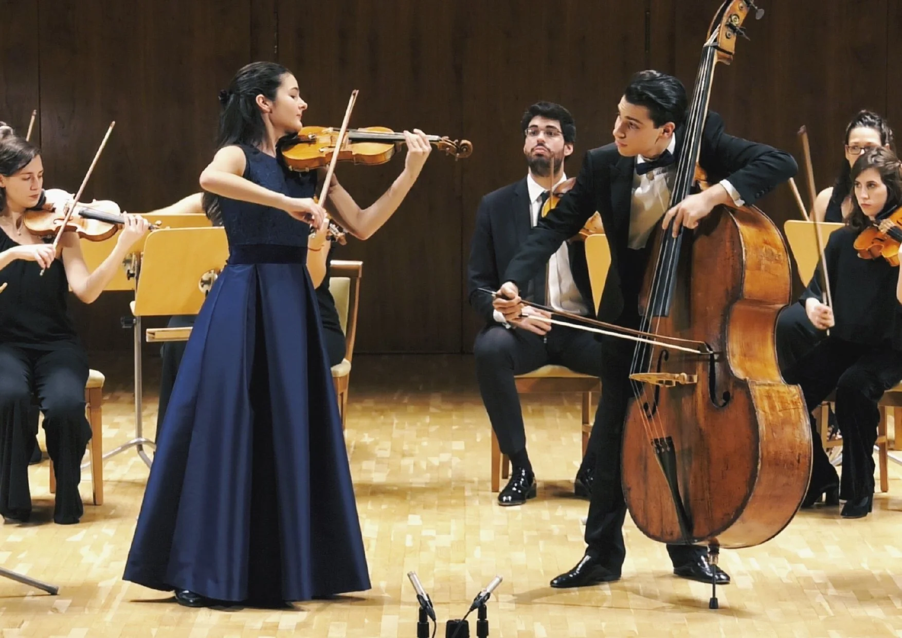 Andrés Segovia Chamber Orchestra, Diego Botta (doublebass) -  Madrid