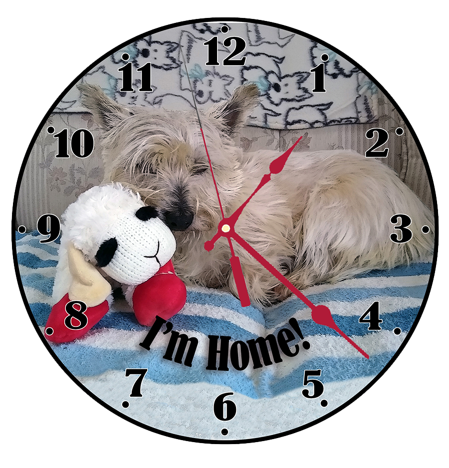 JAnet clock to post.png