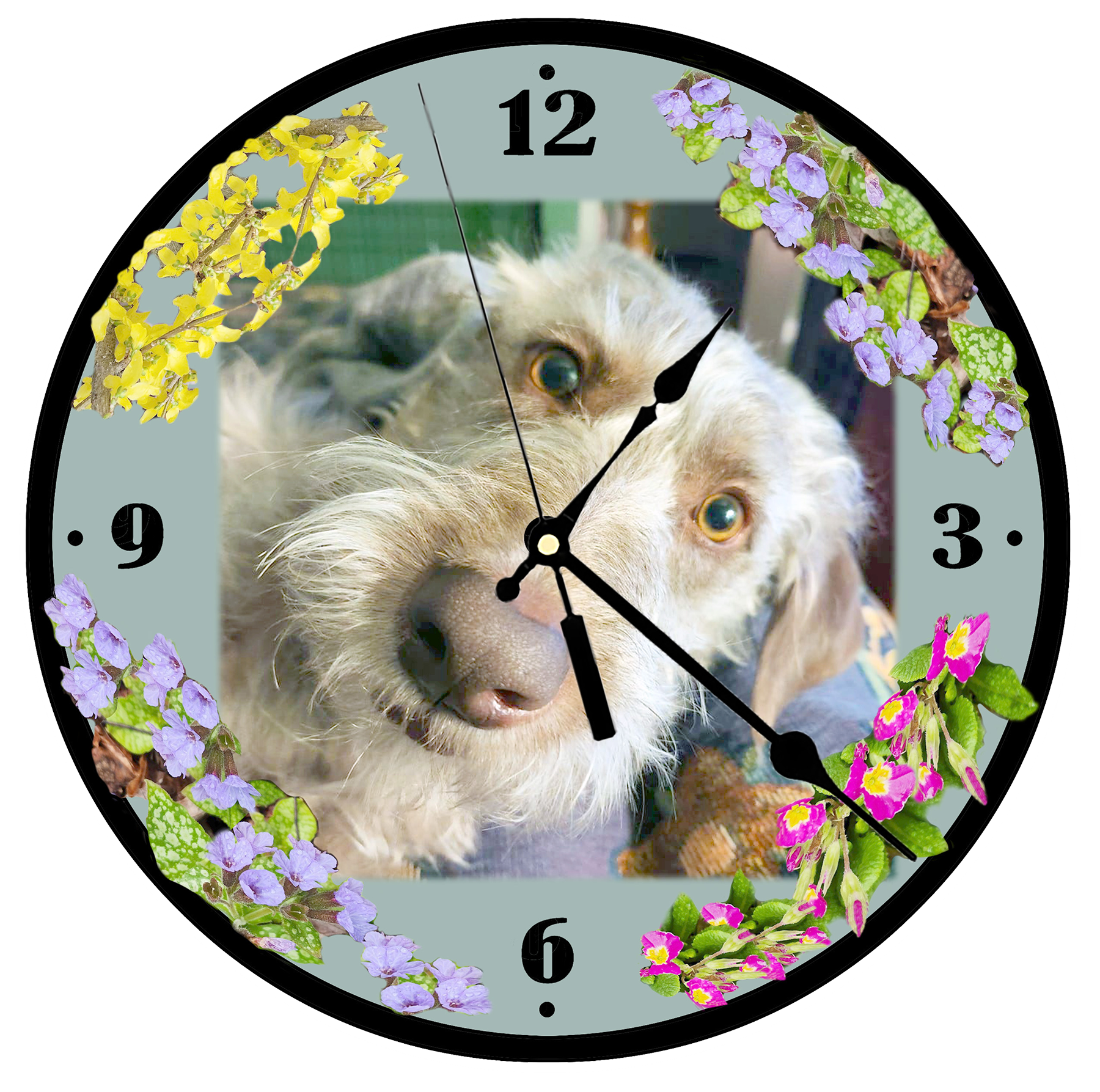 THISSue T and Grover.png