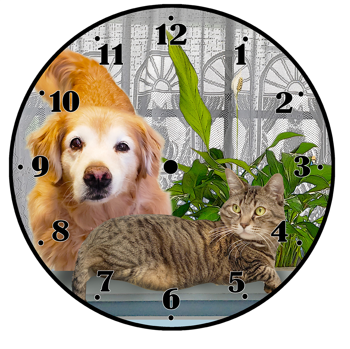 THISvetclock.png