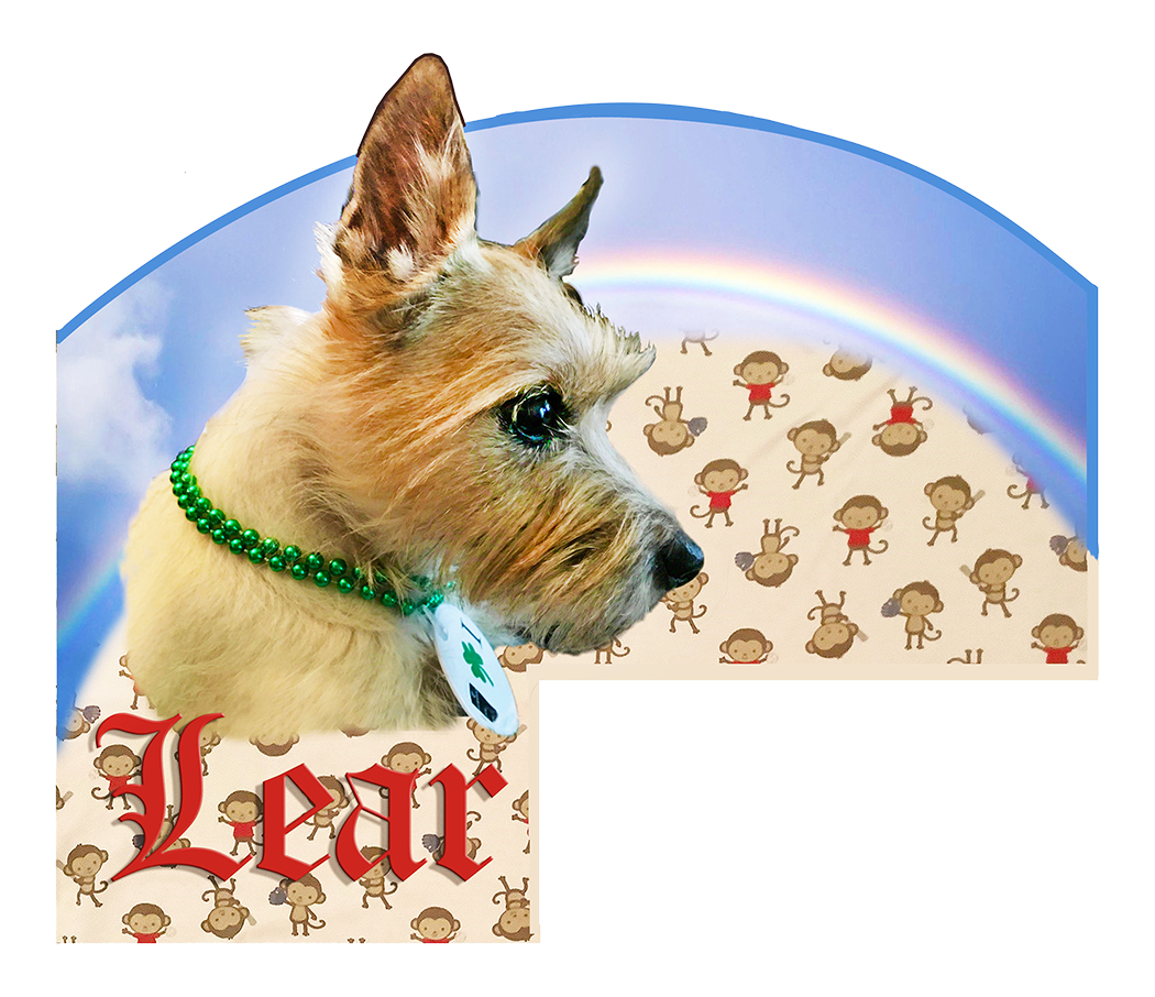 diana Mati LEAR4.png