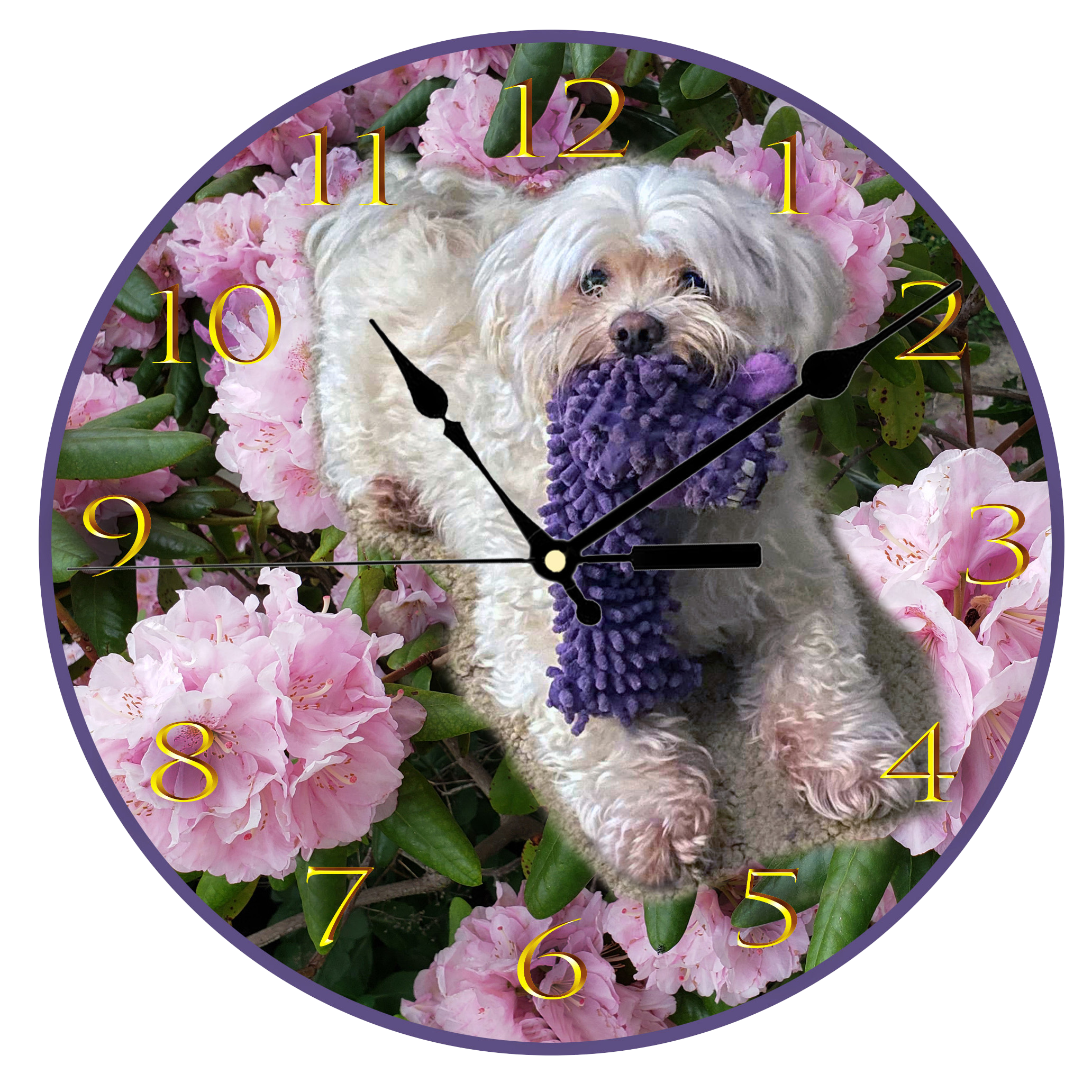 marys clock_3.png