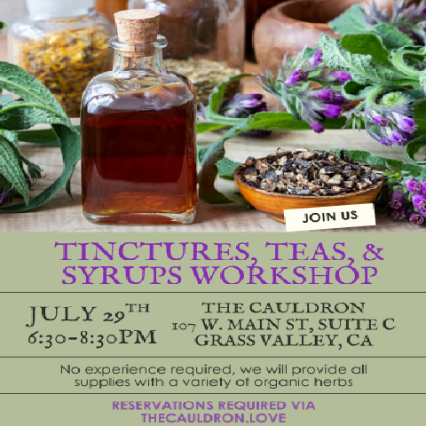 Tinctures, Teas and Syrups Workshop
