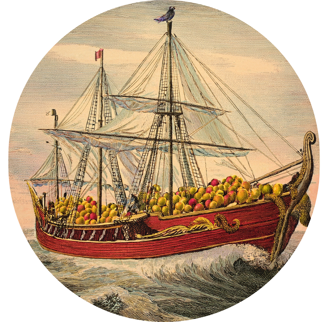 AI drawing of a late 1800s citrus ship traveling from Sicily