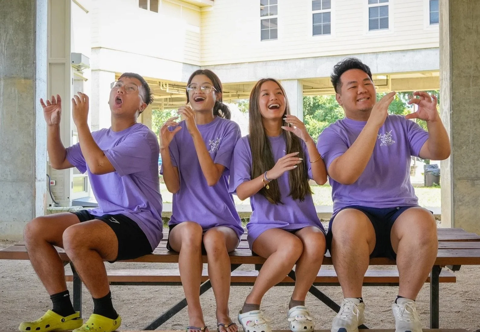 CDXVII - Programming