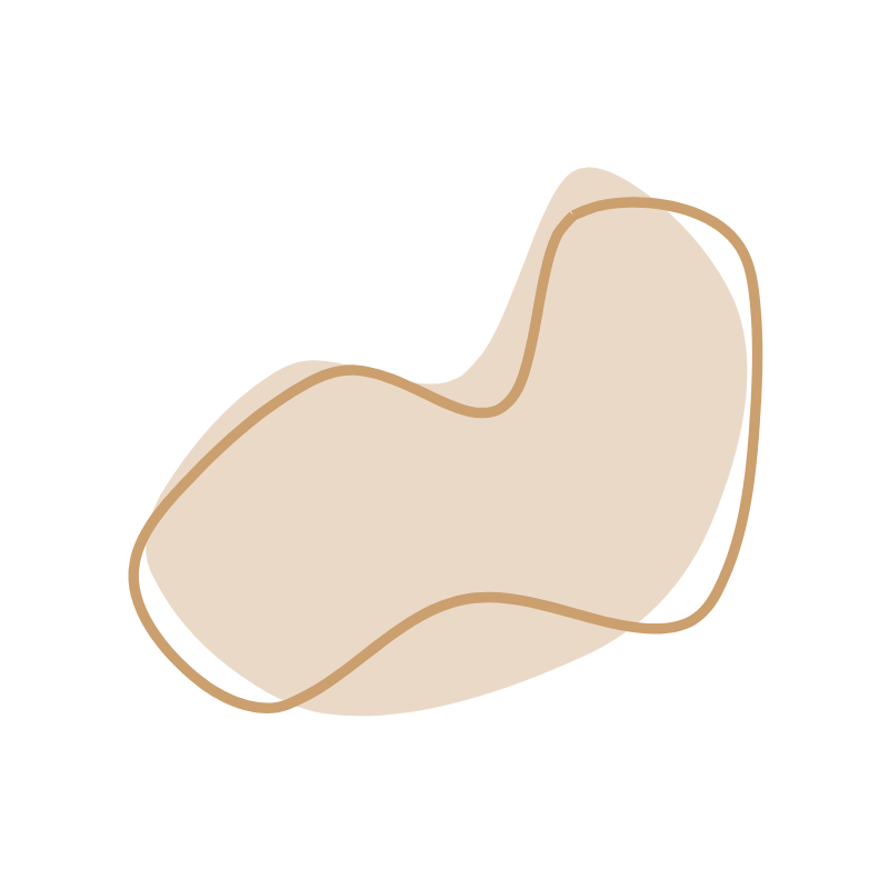 Illustration of a single cashew nut with a beige shell and a light brown outline.