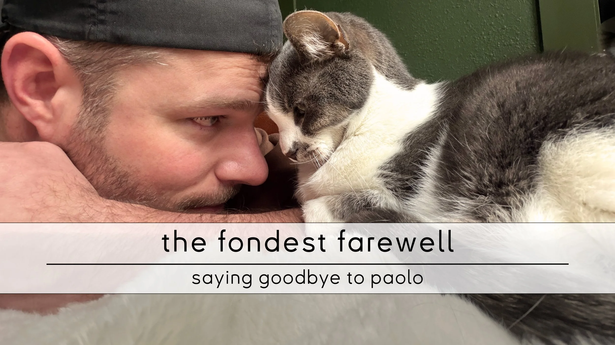the fondest farewell.jpg