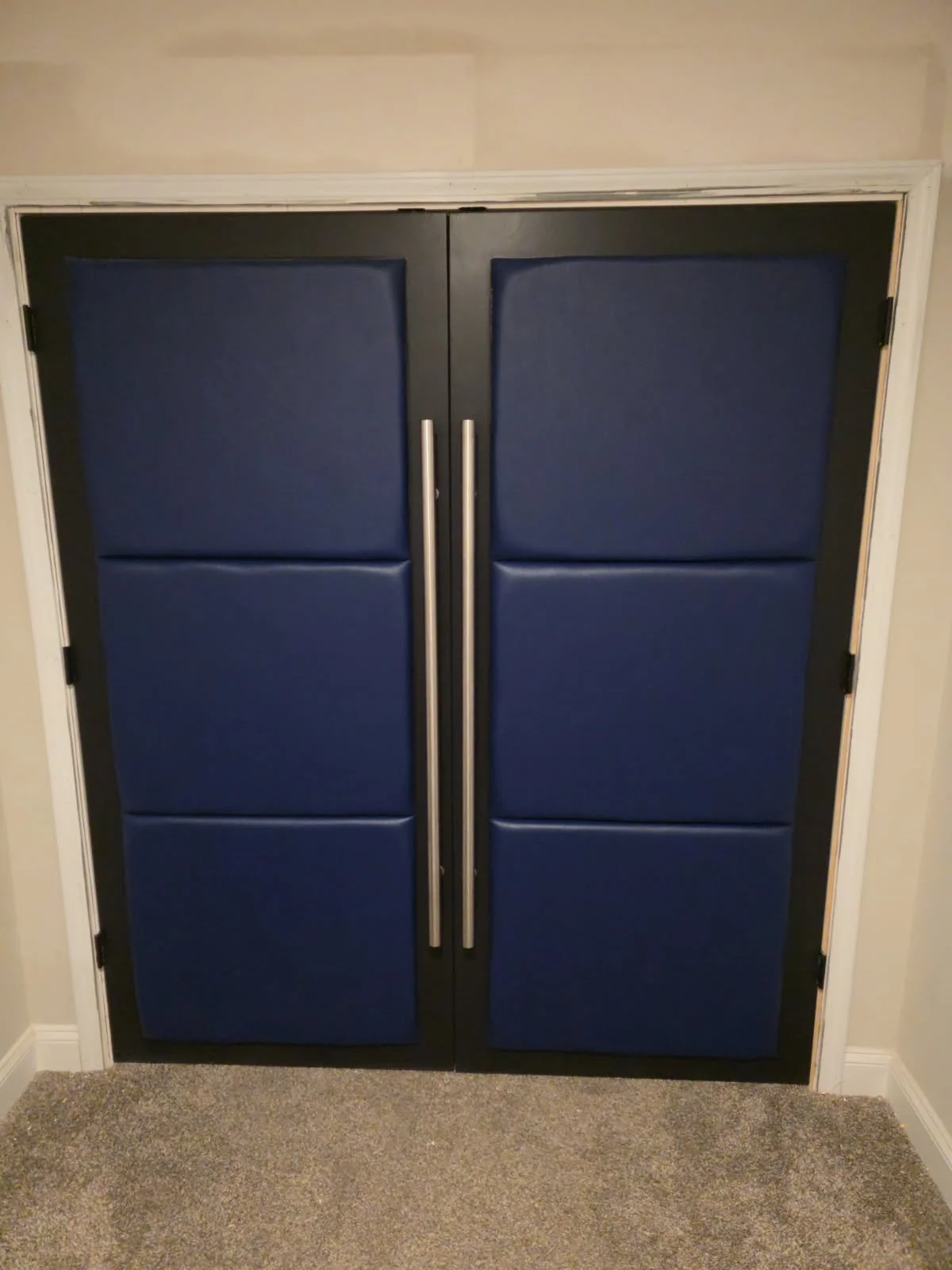 Modern Theater Door in Midnight Blue