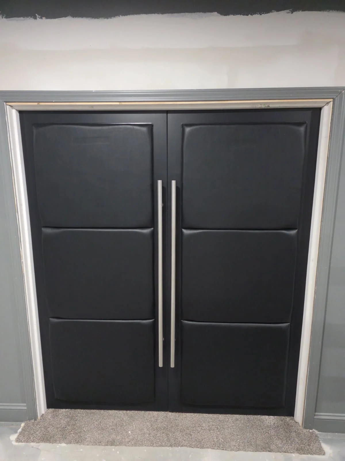 Ebony Modern Theater Door with Satin Handles