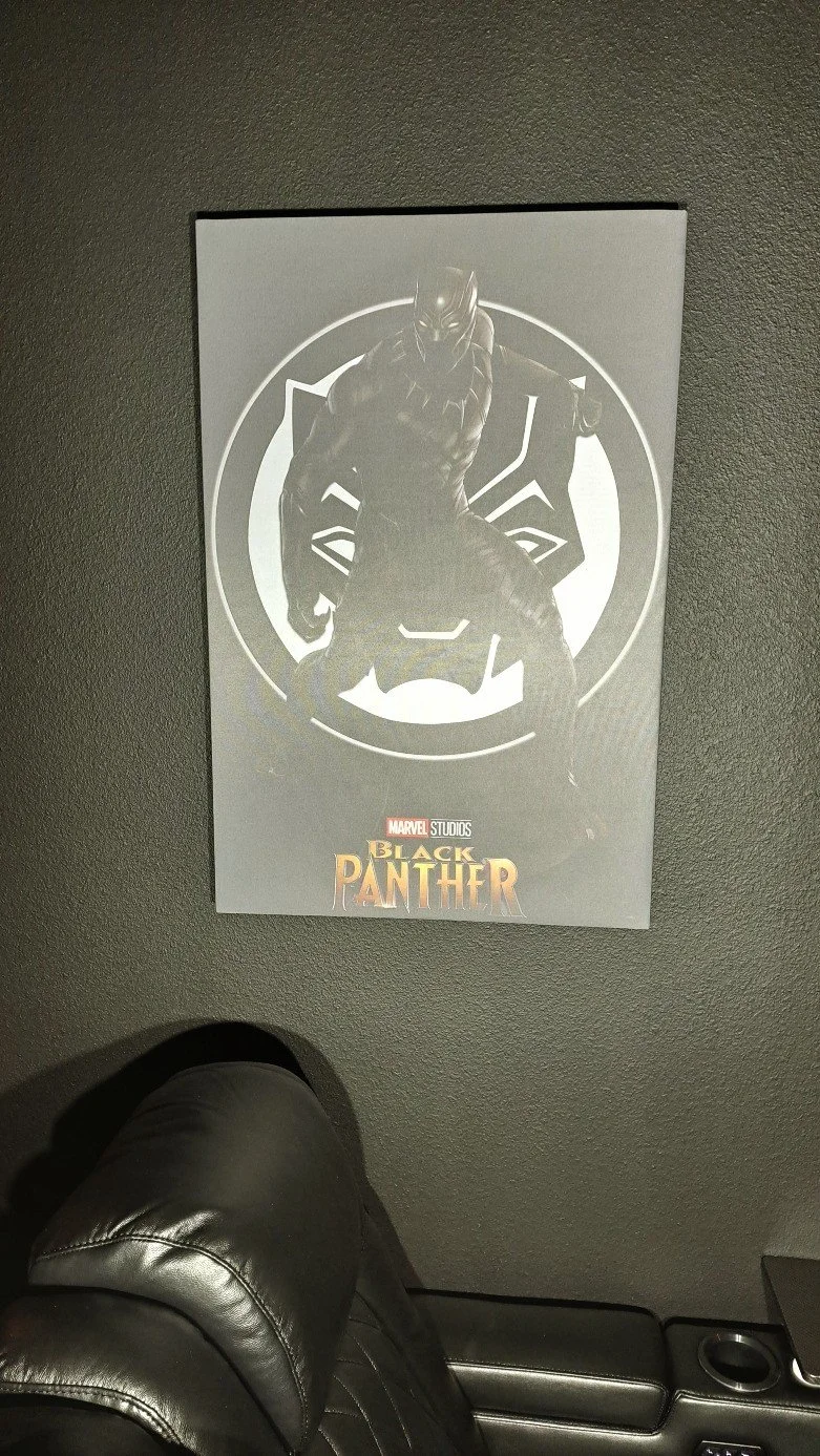 Movie Poster Acoustic Panels (5).jpg