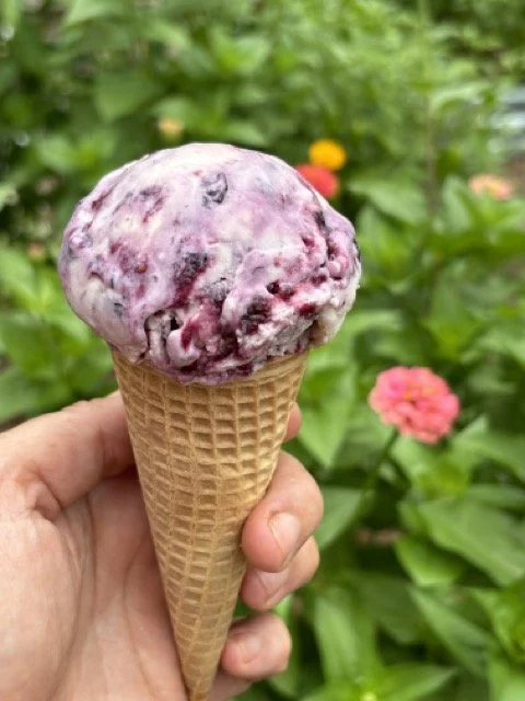 Goat Cheese & Berry Jam Ice Cream