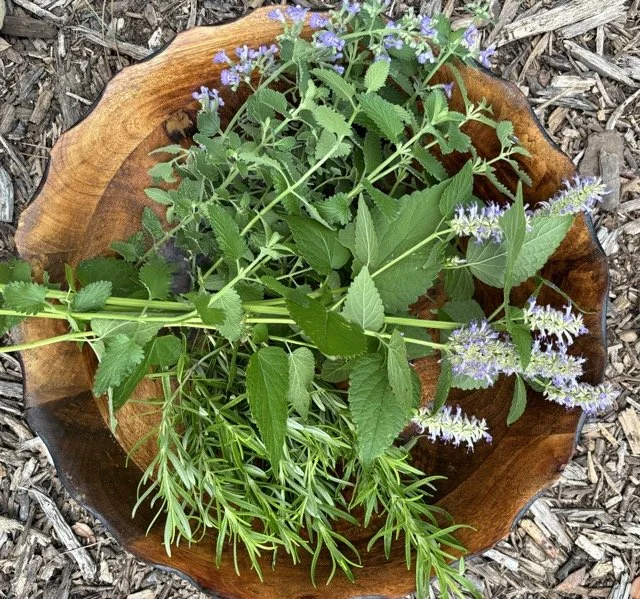 IMG_8565 Medium.jpeg