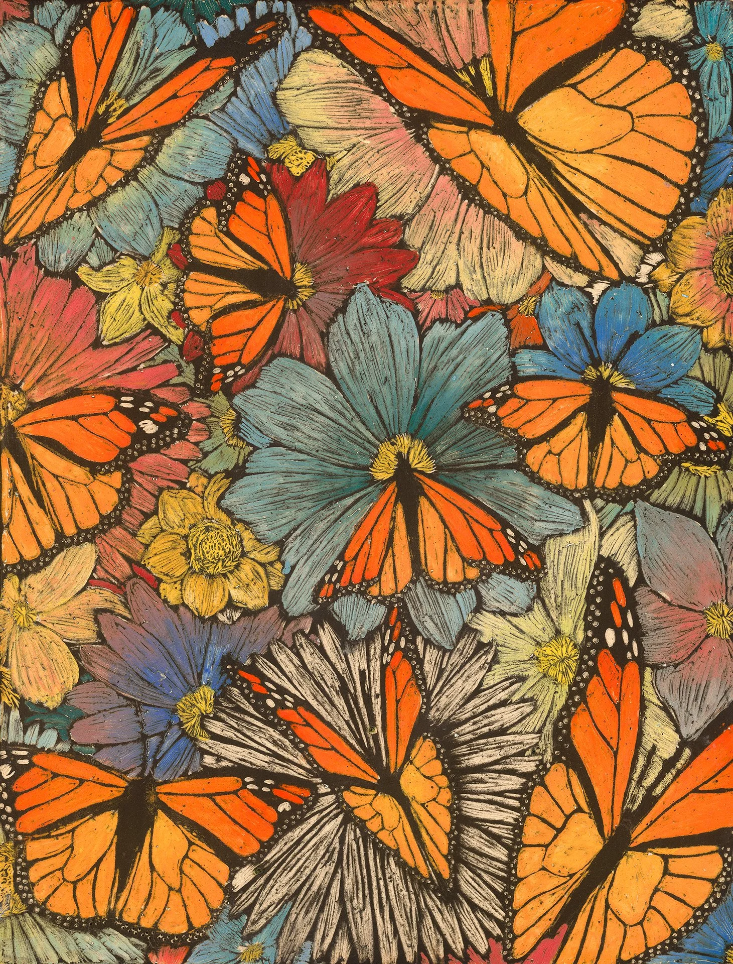 cool monarch.jpg