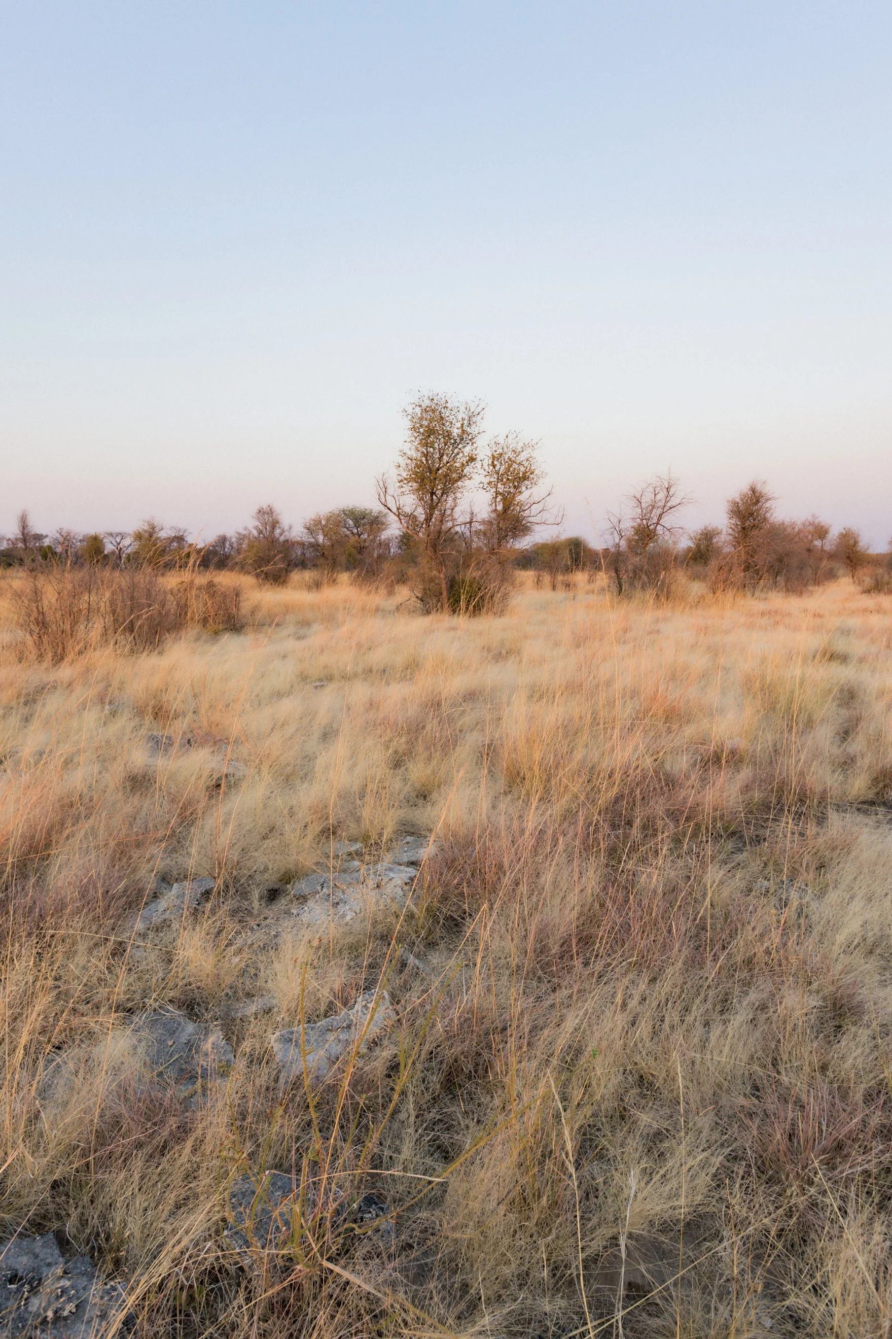 1.CarlHolman_Docu 1.jpg