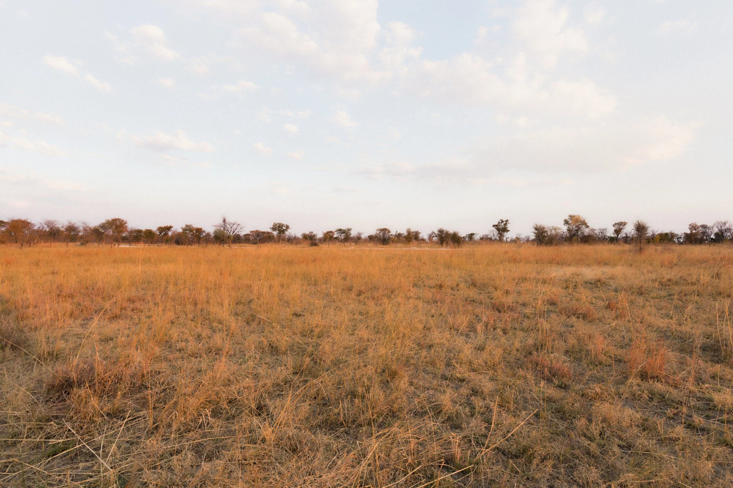 1.CarlHolman_Docu 17.jpg