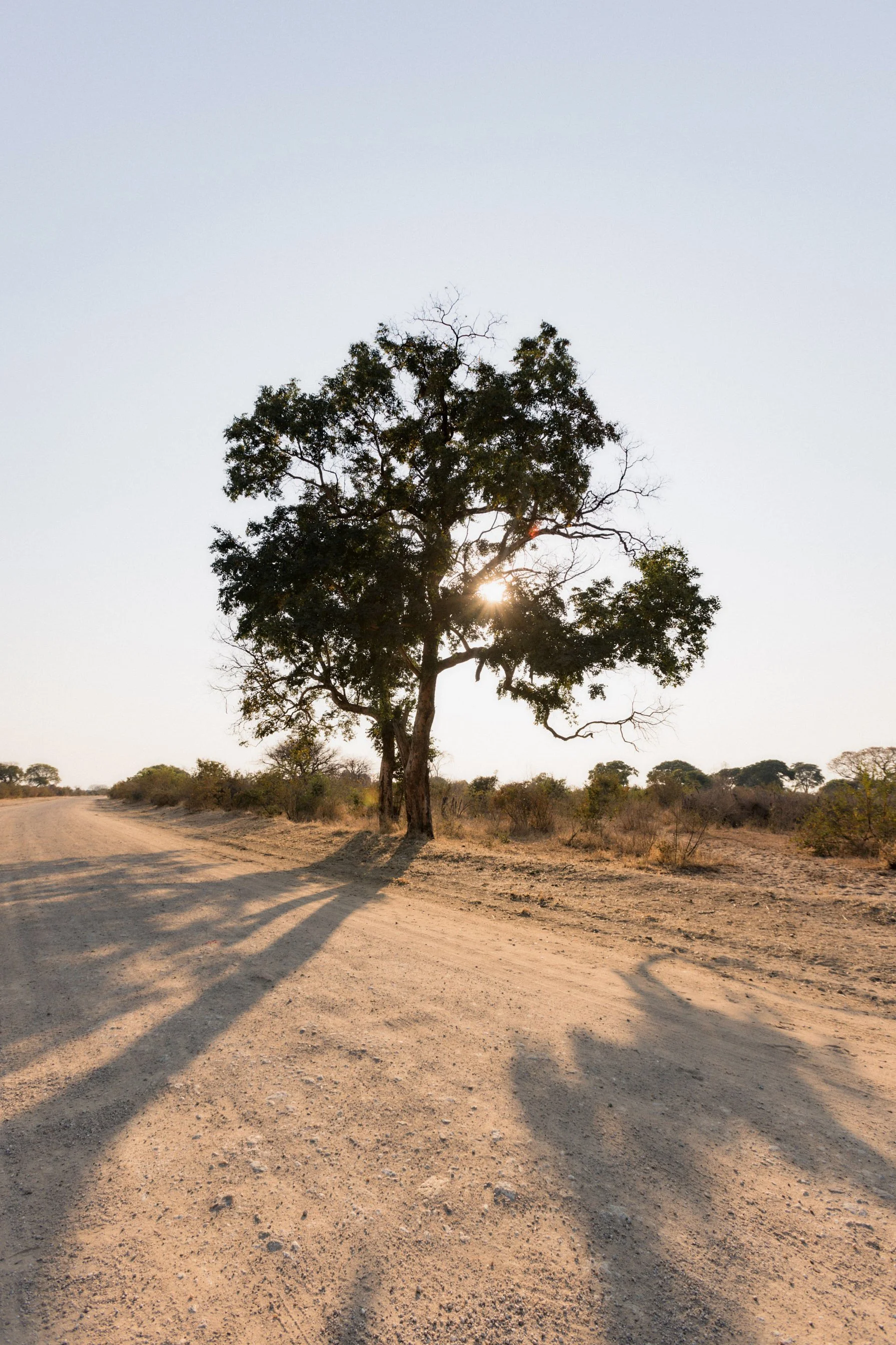 1.CarlHolman_Docu 44.jpg