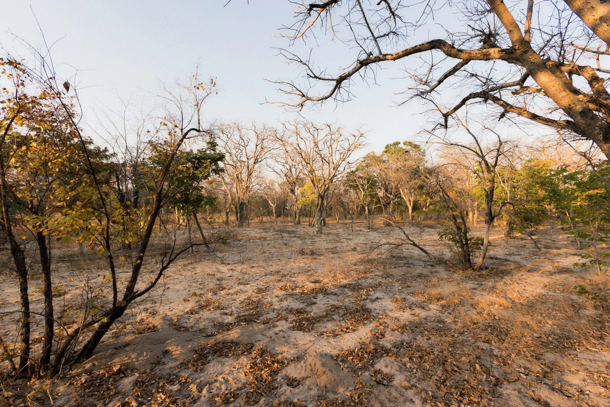 1.CarlHolman_Docu 24.jpg