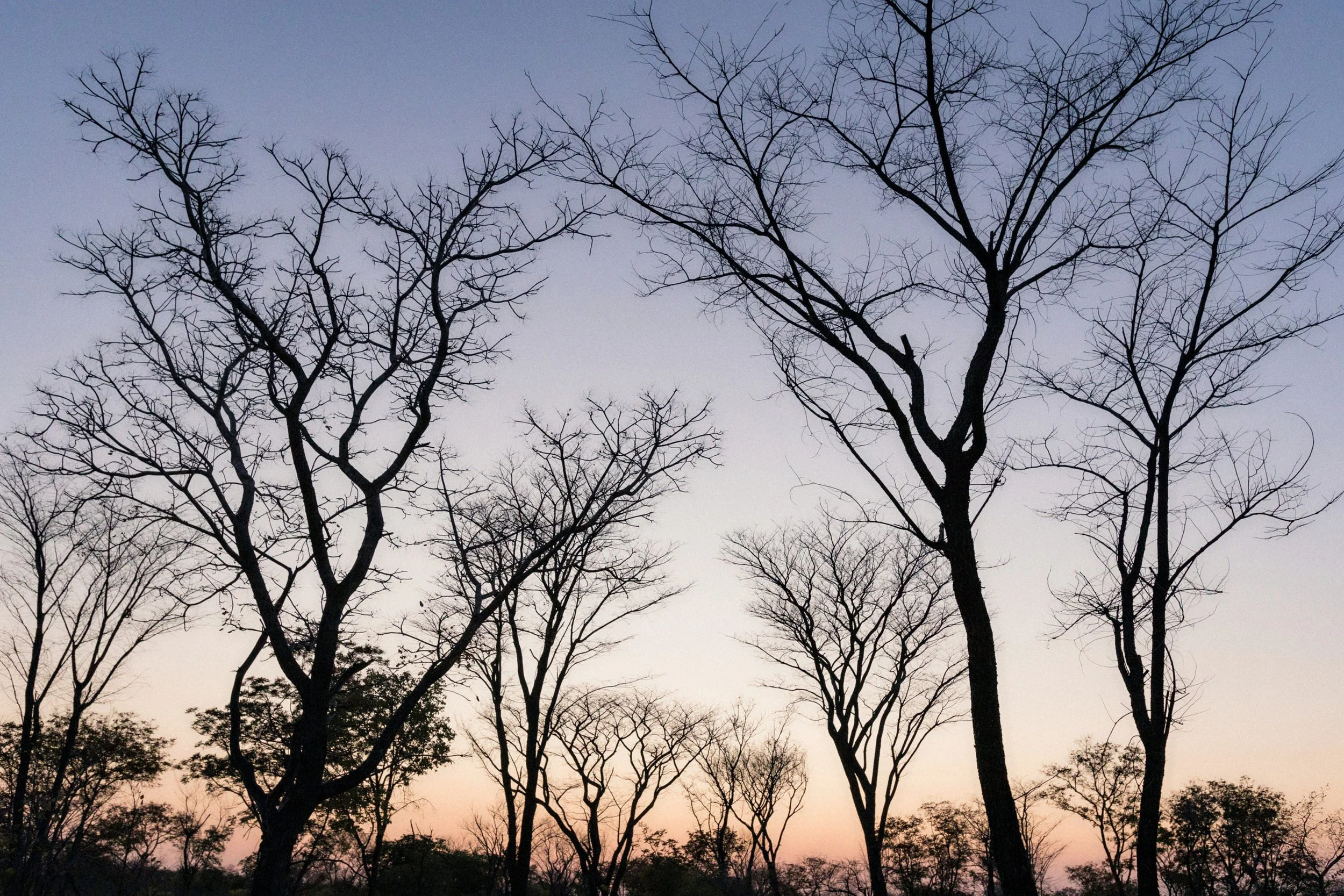 1.CarlHolman_Docu 50.jpg