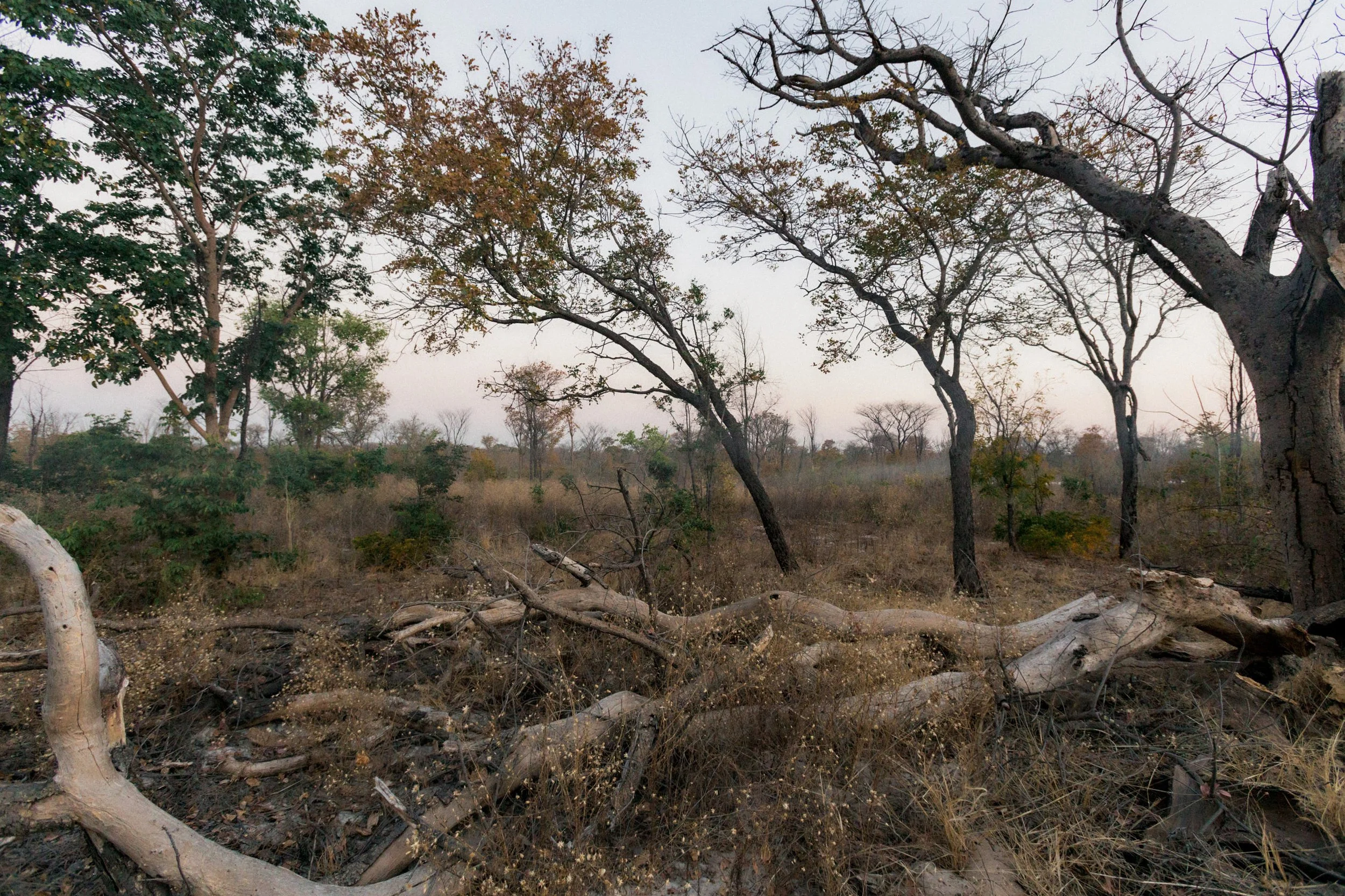 1.CarlHolman_Docu 33.jpg