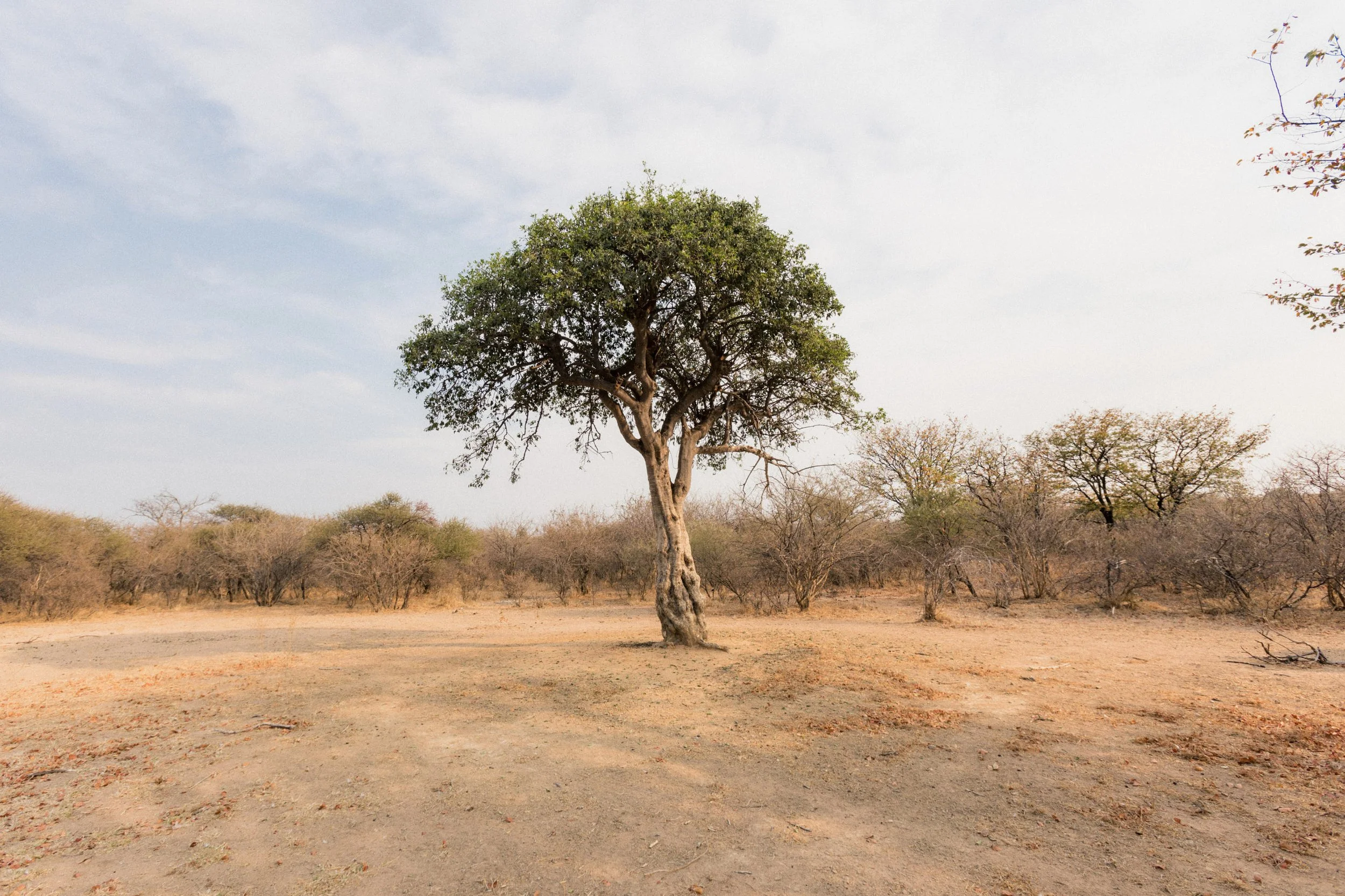 2.CarlHolman_Docu 78.jpg