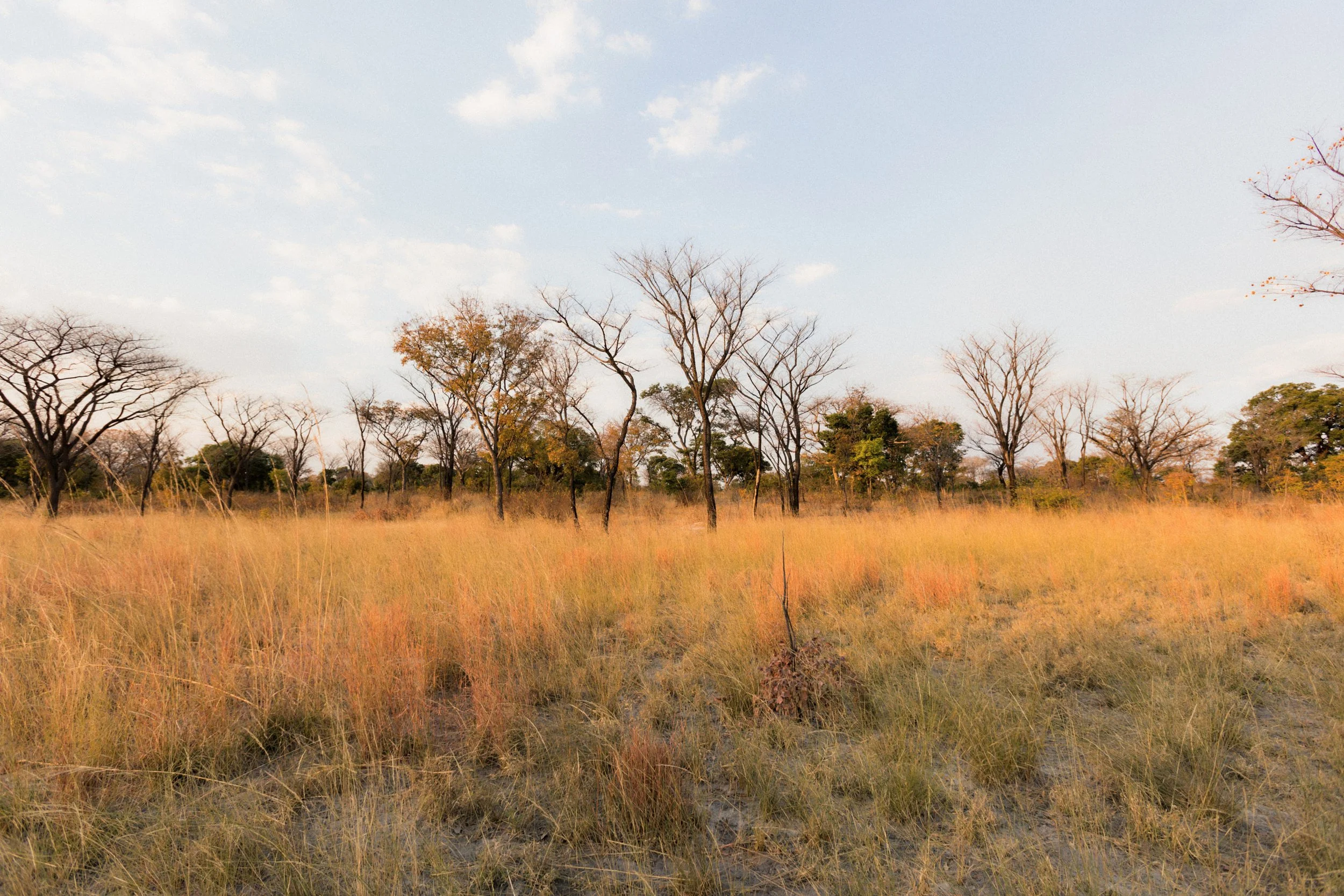 1.CarlHolman_Docu 41.jpg