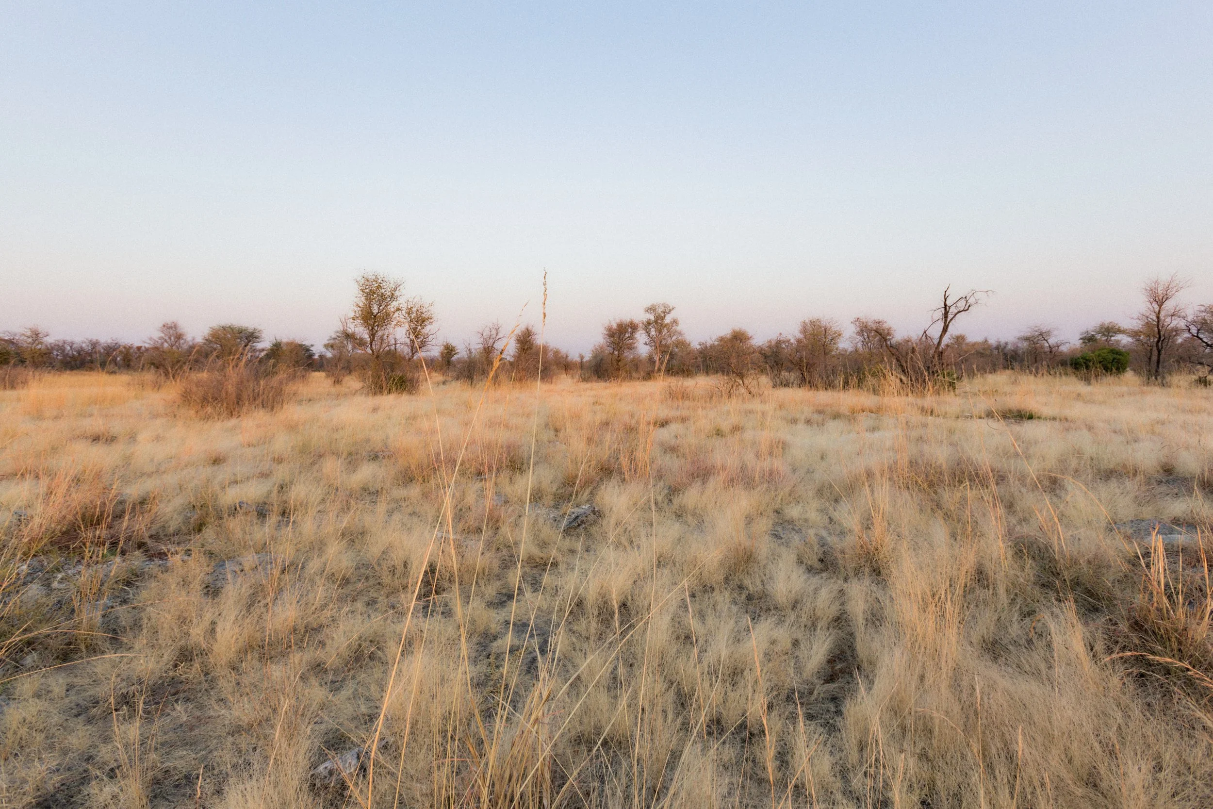 1.CarlHolman_Docu 31.jpg