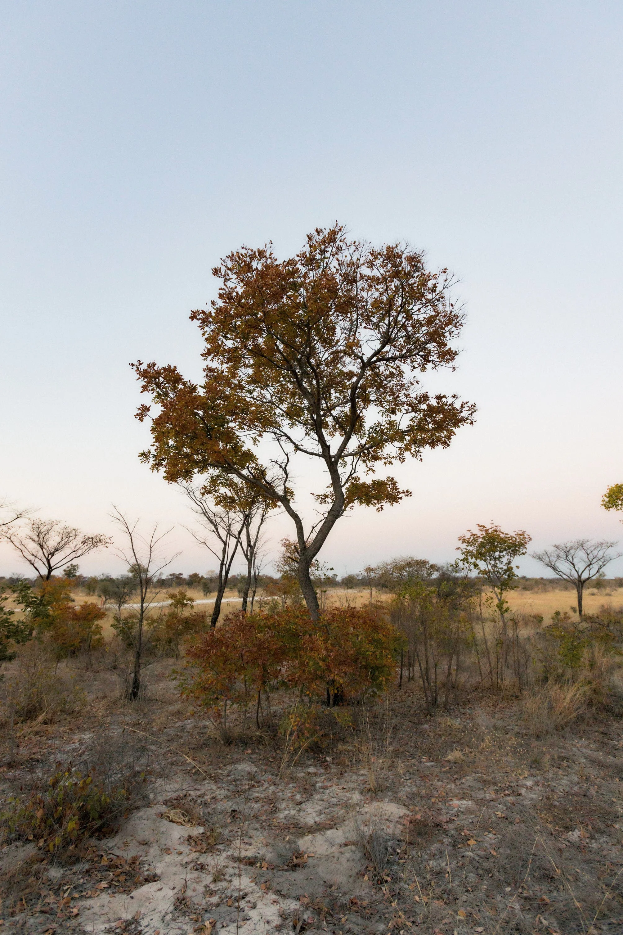 1.CarlHolman_Docu 69.jpg