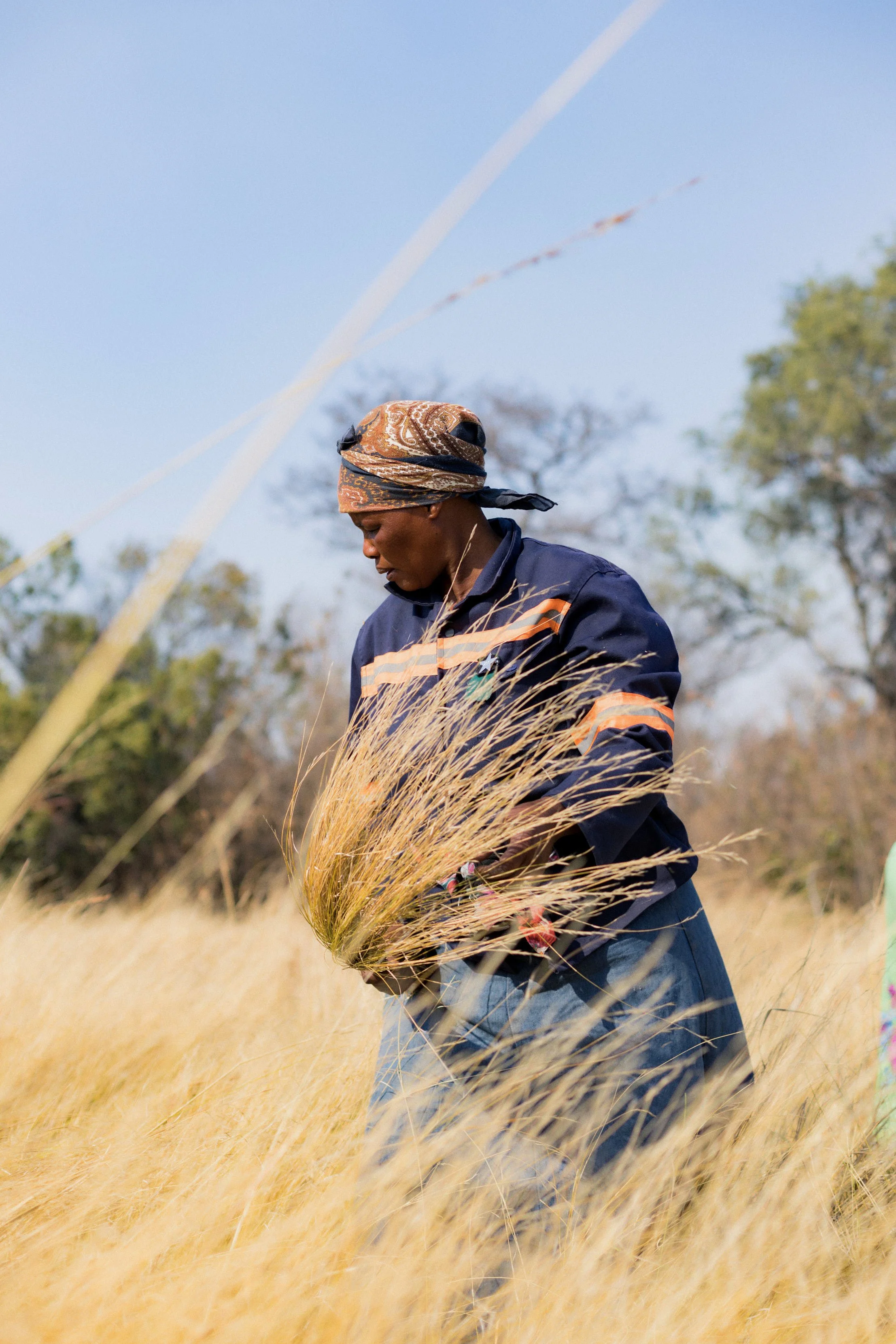 1.CarlHolman_Docu 81.jpg