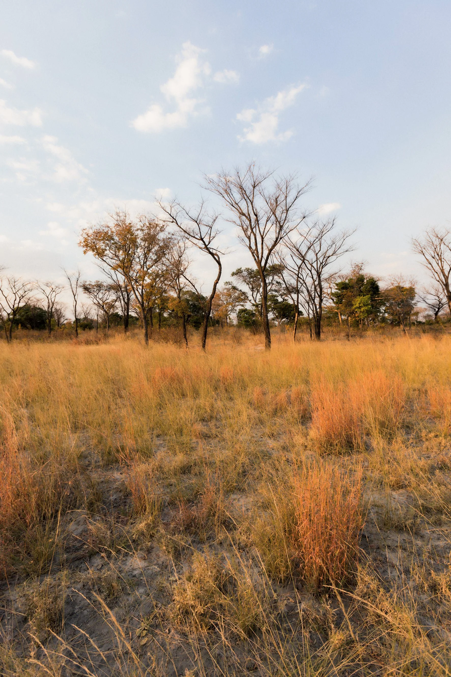 1.CarlHolman_Docu 4.jpg