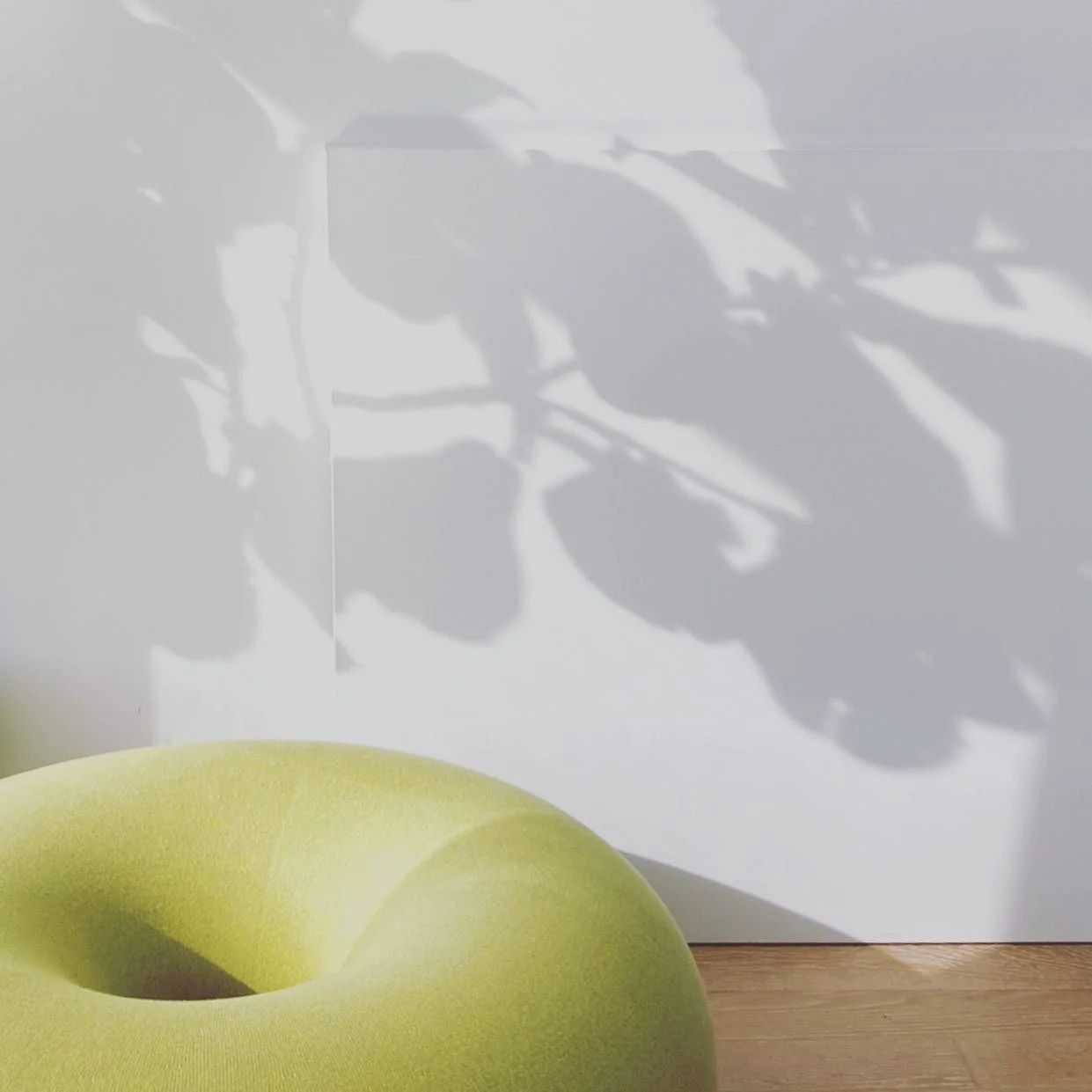 bbStudio.ny &mdash; natural light and shadows give us life 🤍