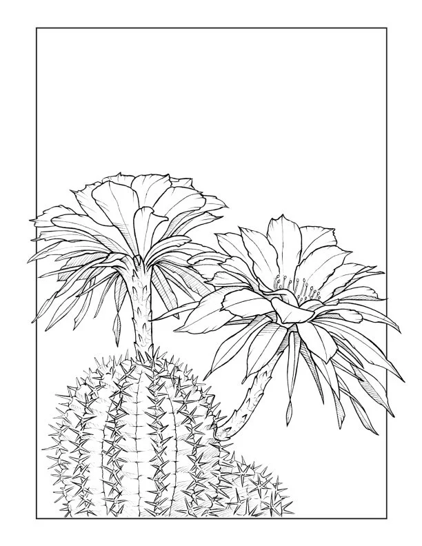Letter - 33.jpeg