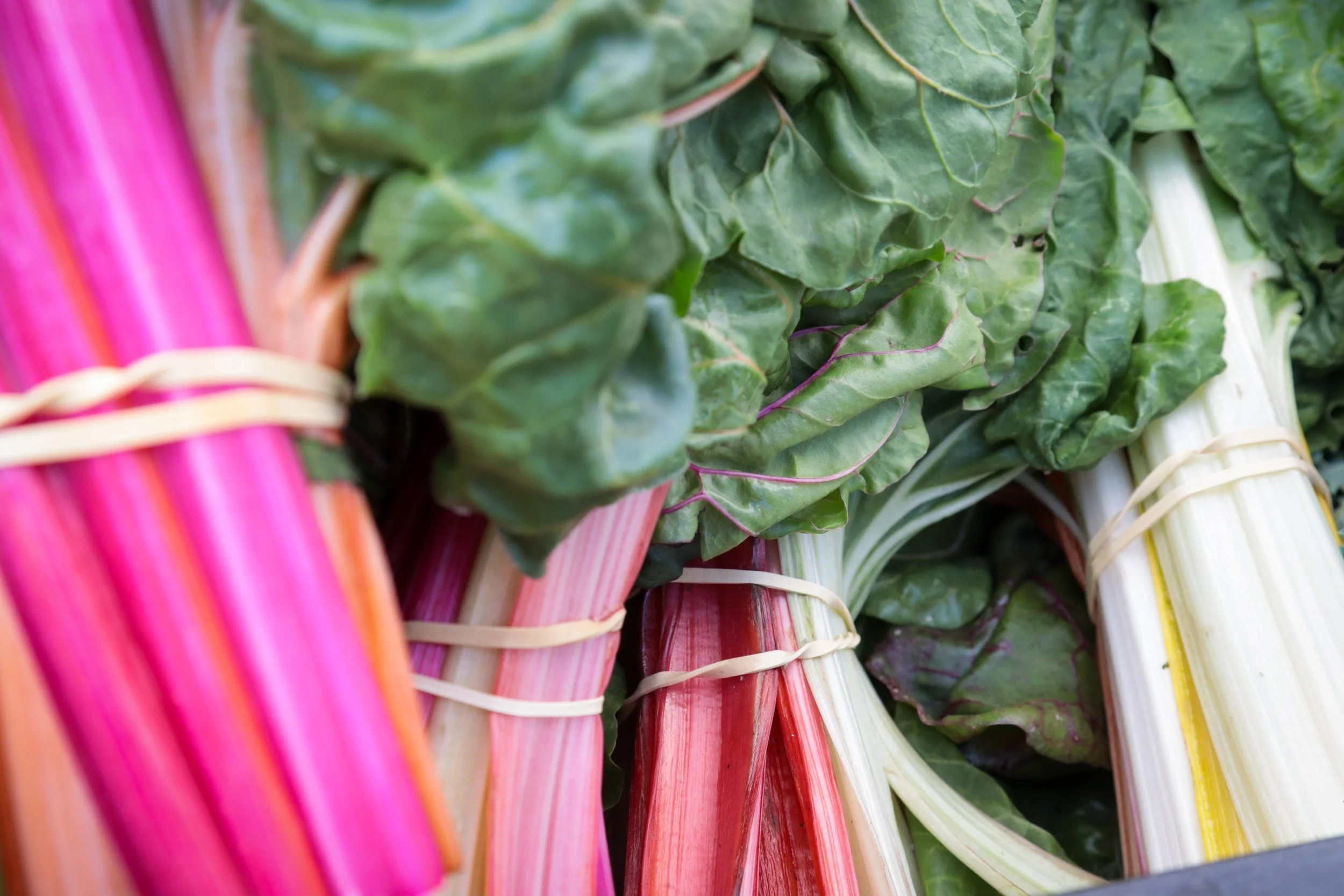 Farmers_Market_Paso_48.jpg