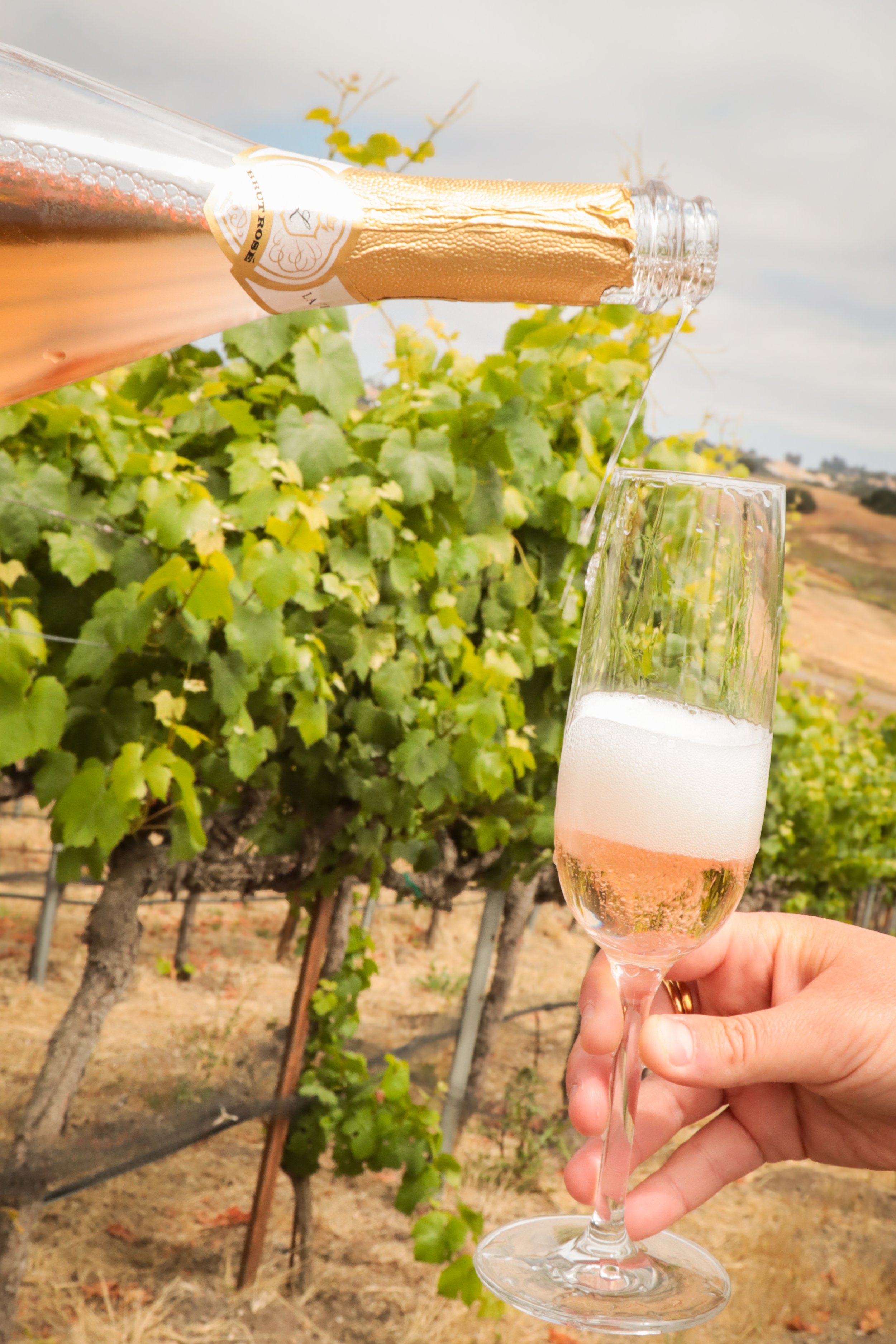Laetitia_Winery_027.jpg