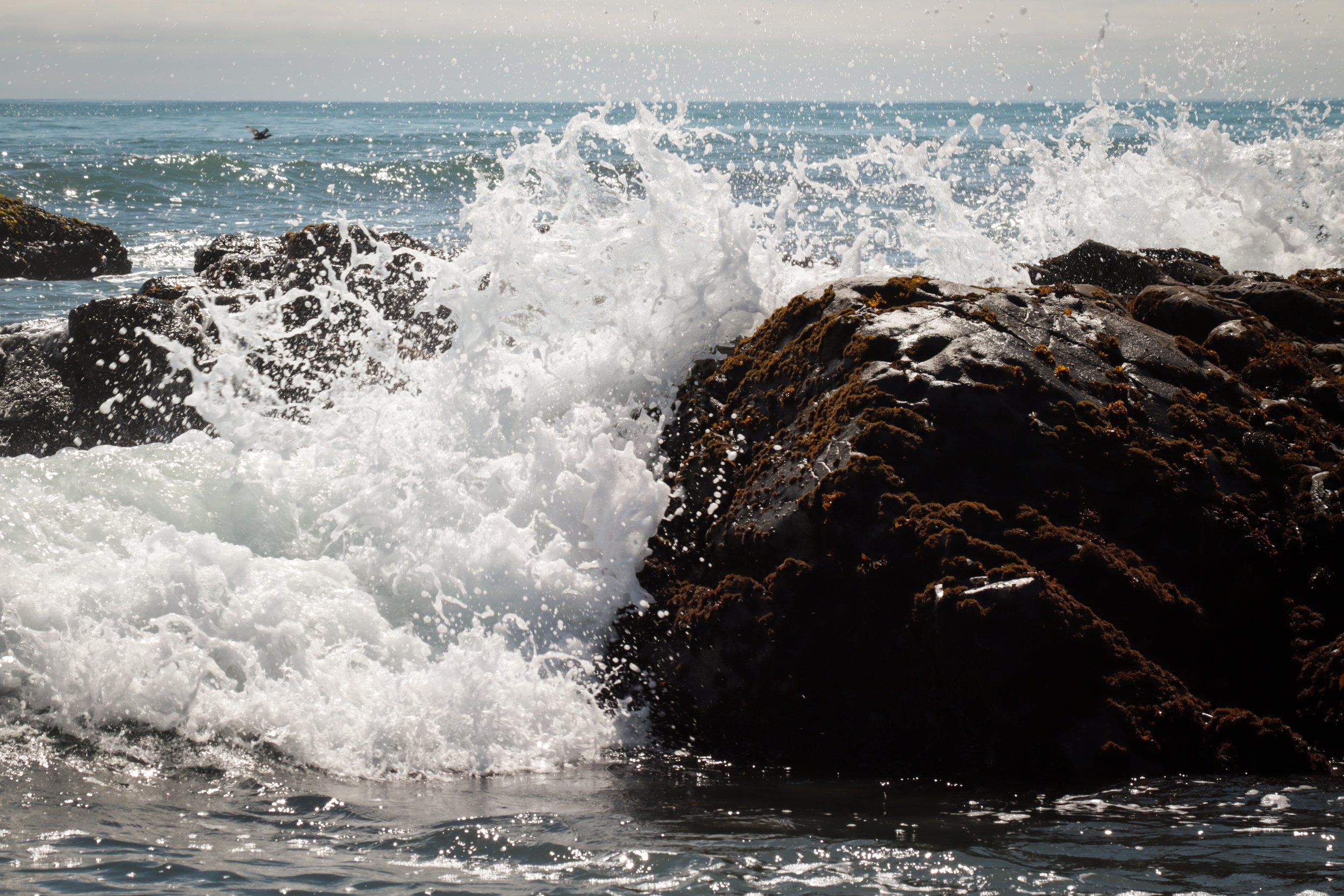 Tide_Pools_16.jpg