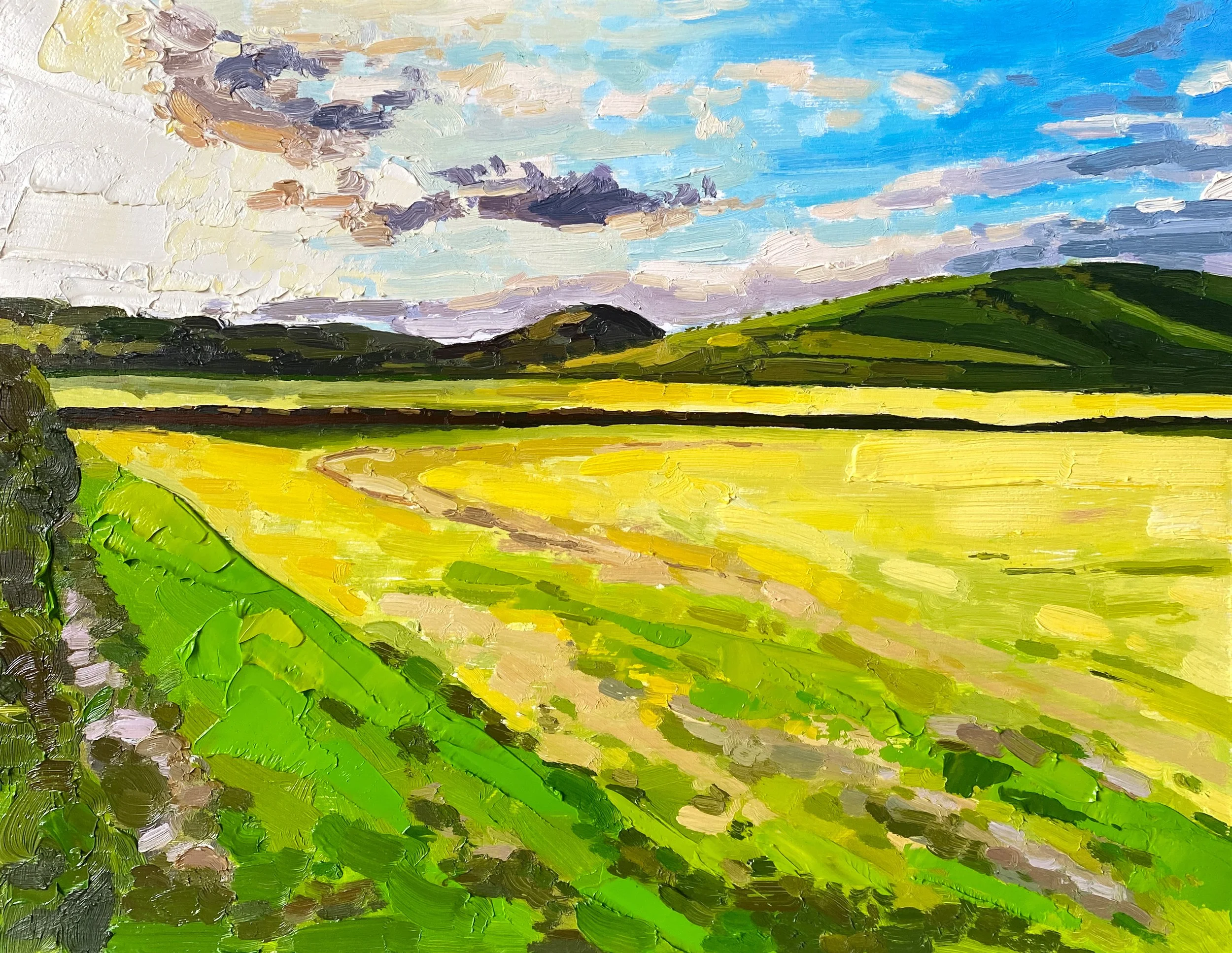 Sunset Across The Fields, Ettrick Bay, 14" x 18" oil on panel £650