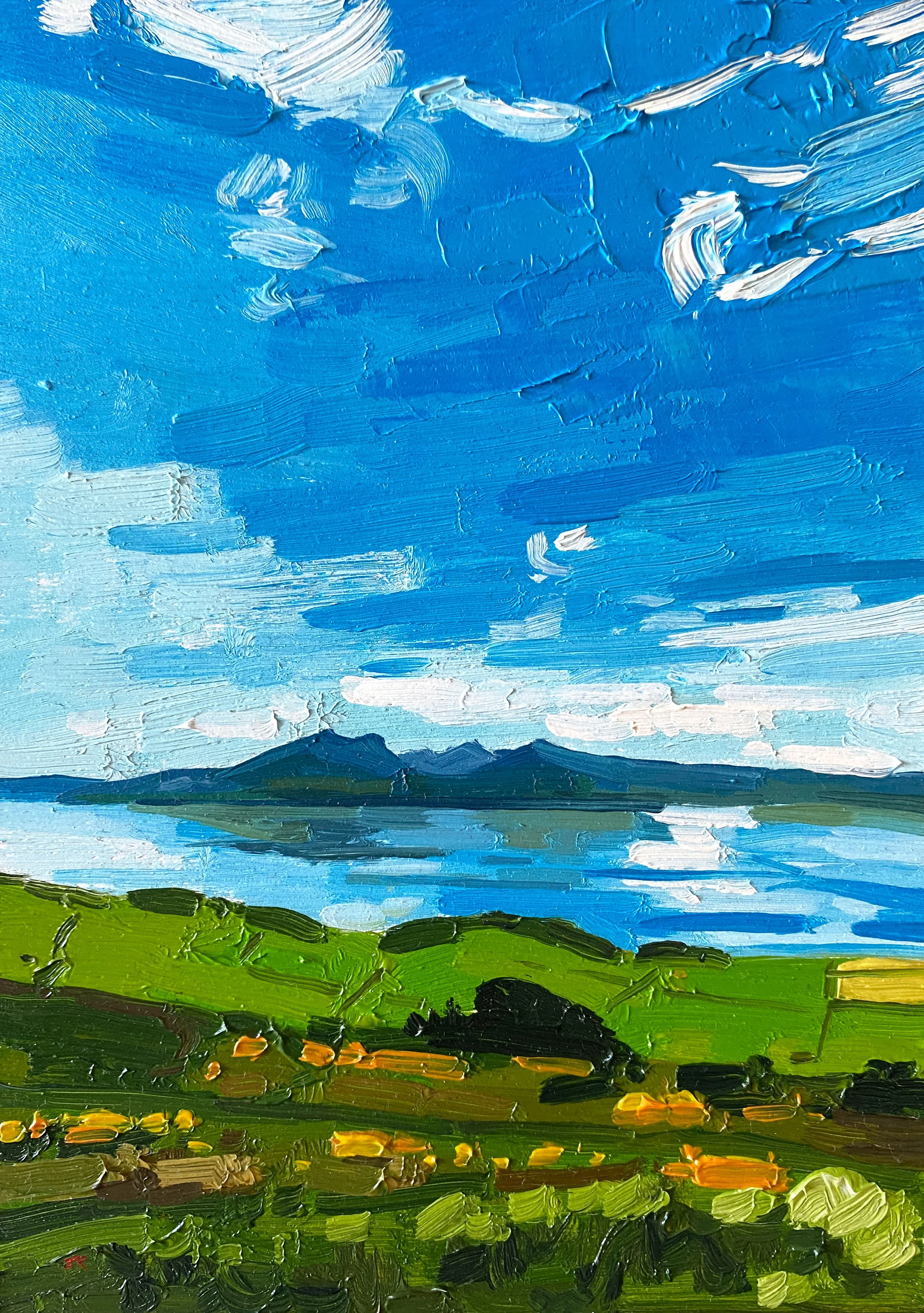 Arran From Suidhe Chatain, Kilchattan Bay, oil on panel £100