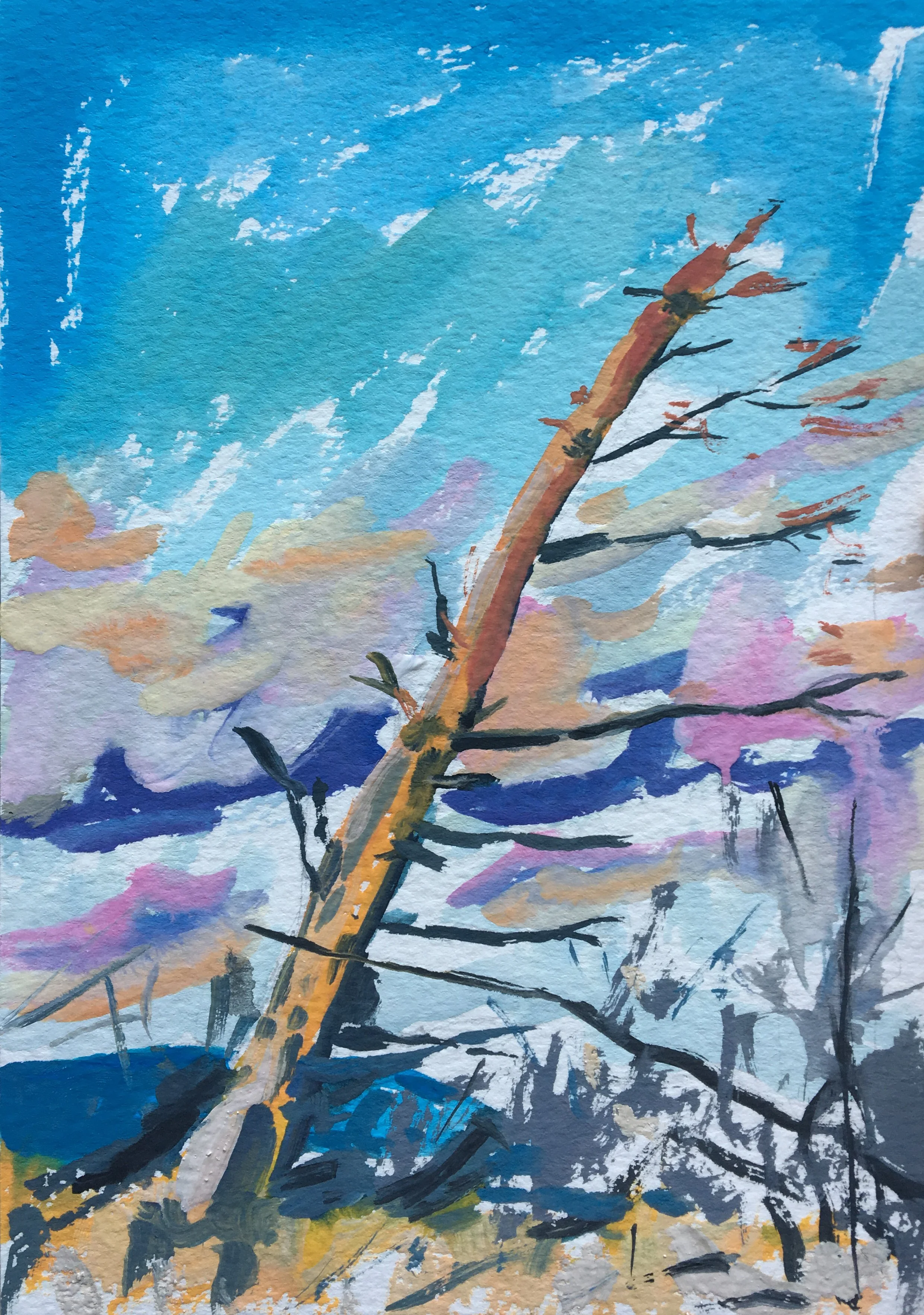 Port Woods #2, 5" x 7"  gouache on paper. £80