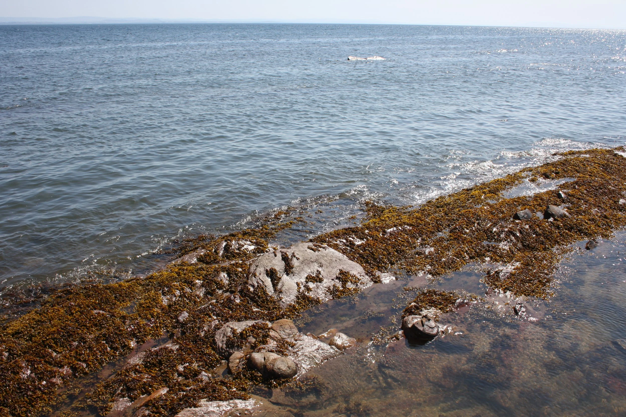 IMG_5603.JPG
