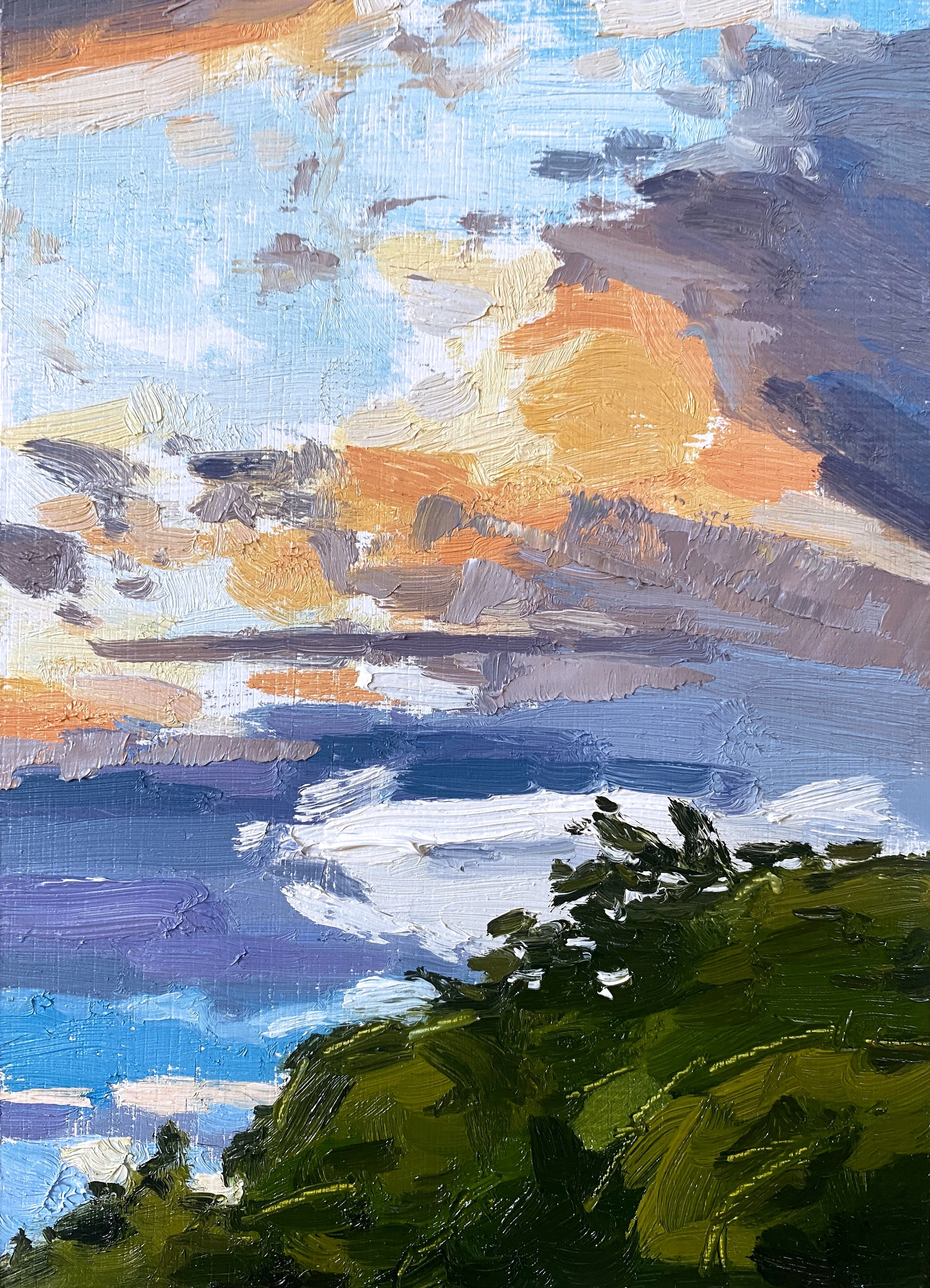 Over The Branches, 5" x 7" oil on panel £100