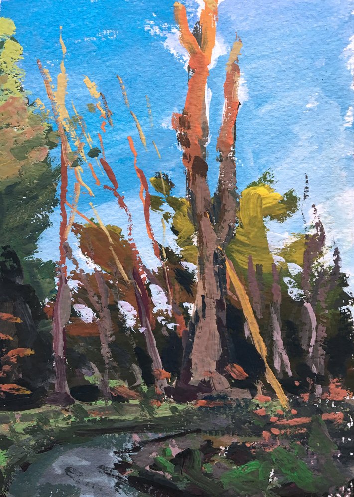 Warm Tree Tops, 5" x 7" Gouache on paper. £80