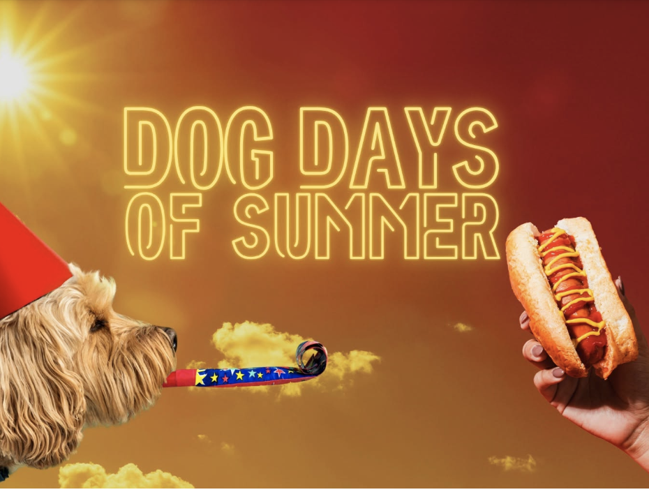 Dog Days of Summer