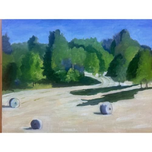 long field shadows.jpg