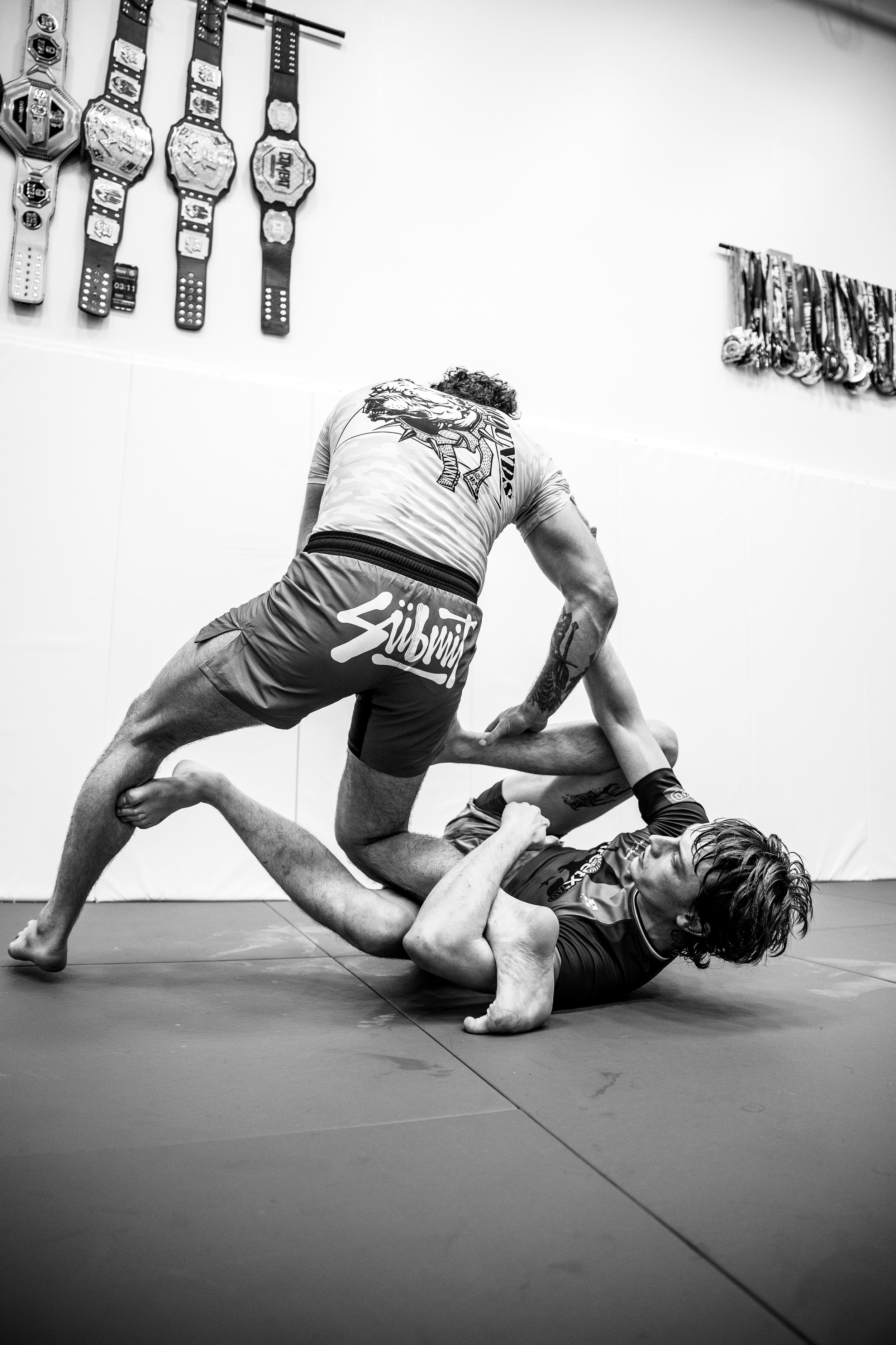 SHVisit_GatoMalo_Jan26 (44 of 47).jpg