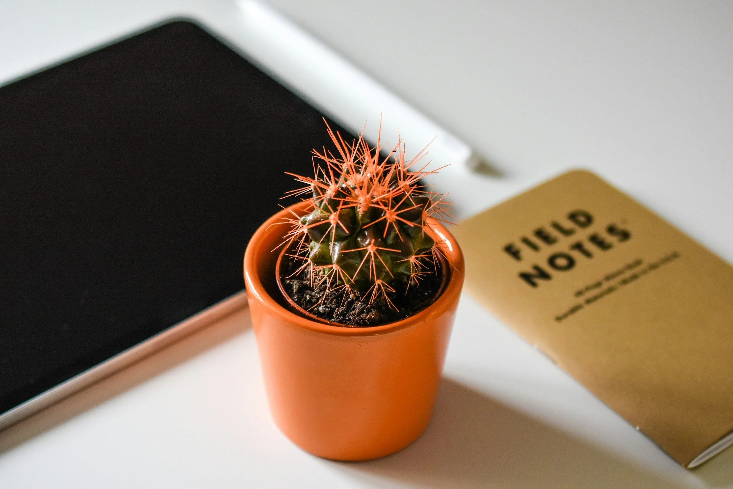 Field notes, listening tours, and community building