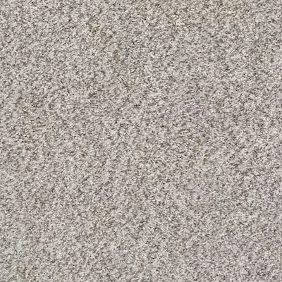 stain master survivor stone.jpeg