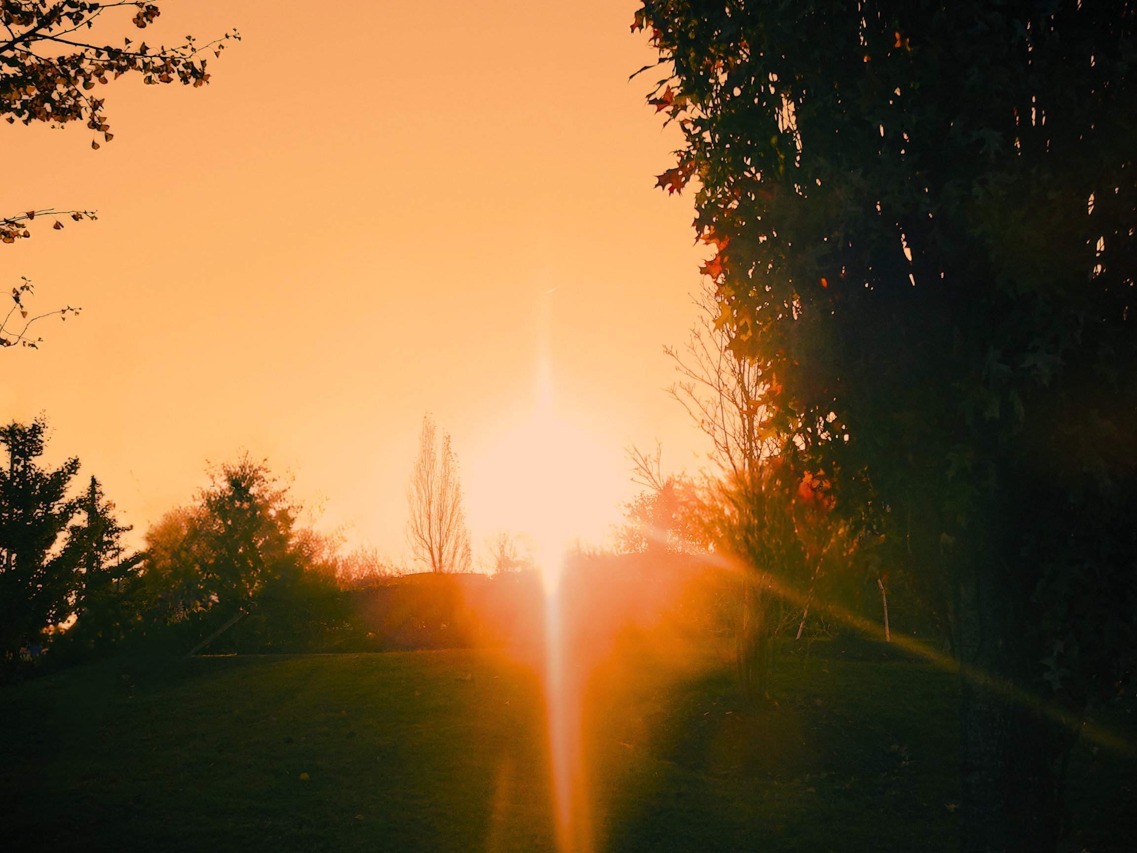 Here Comes The Sun 2.png