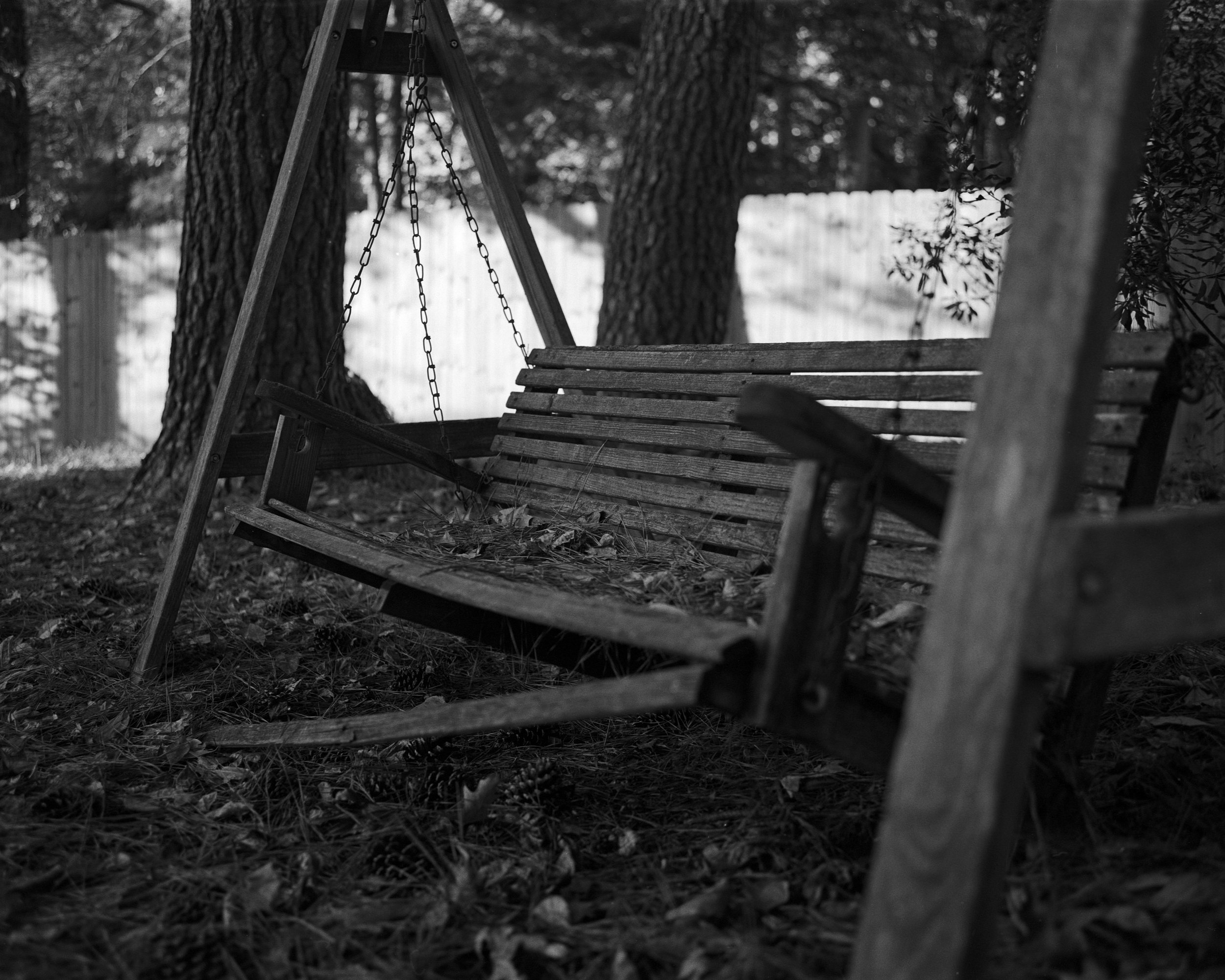 bench.jpeg